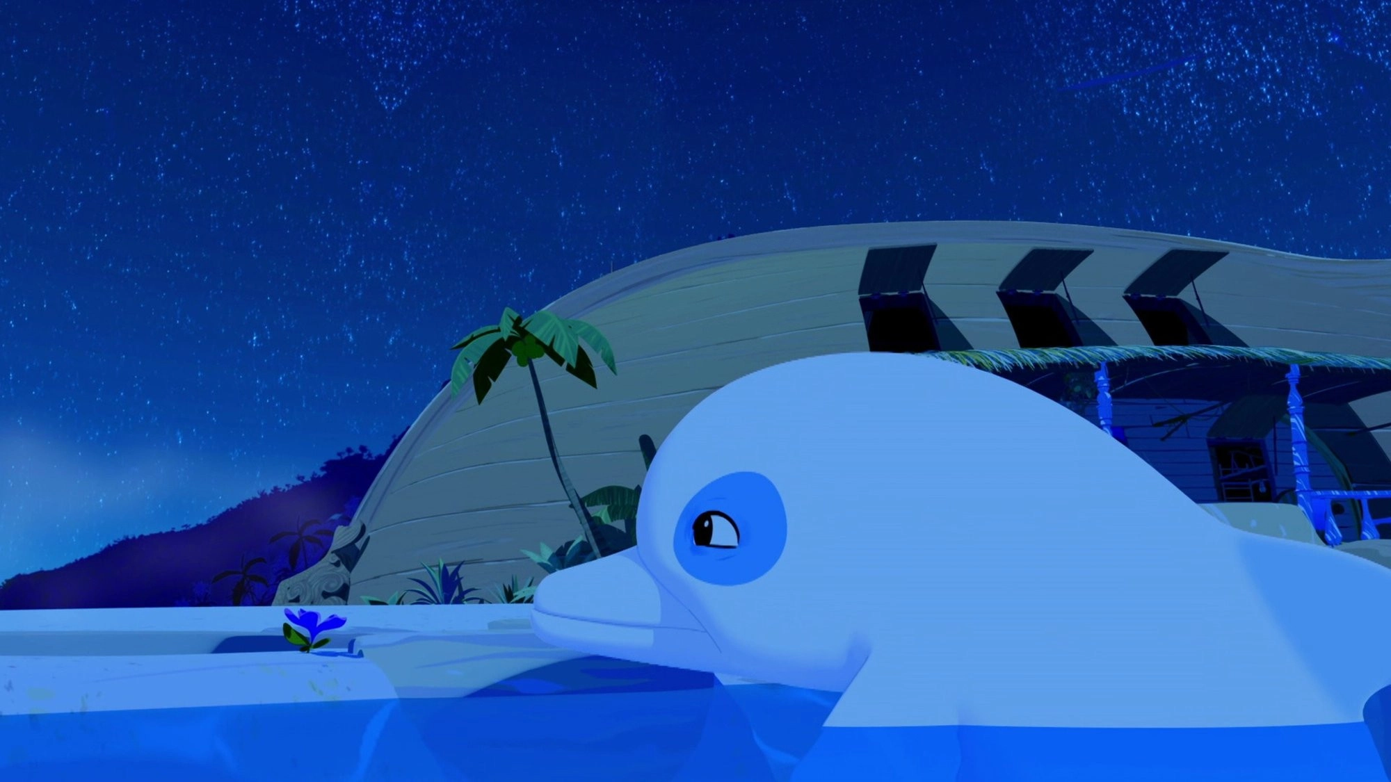 Zoom the White Dolphin