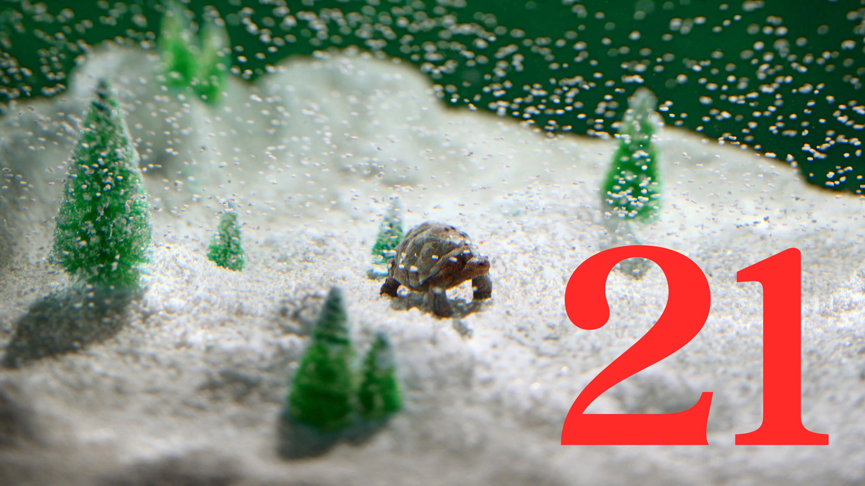 Last X-mas - 24 Tage für die Liebe