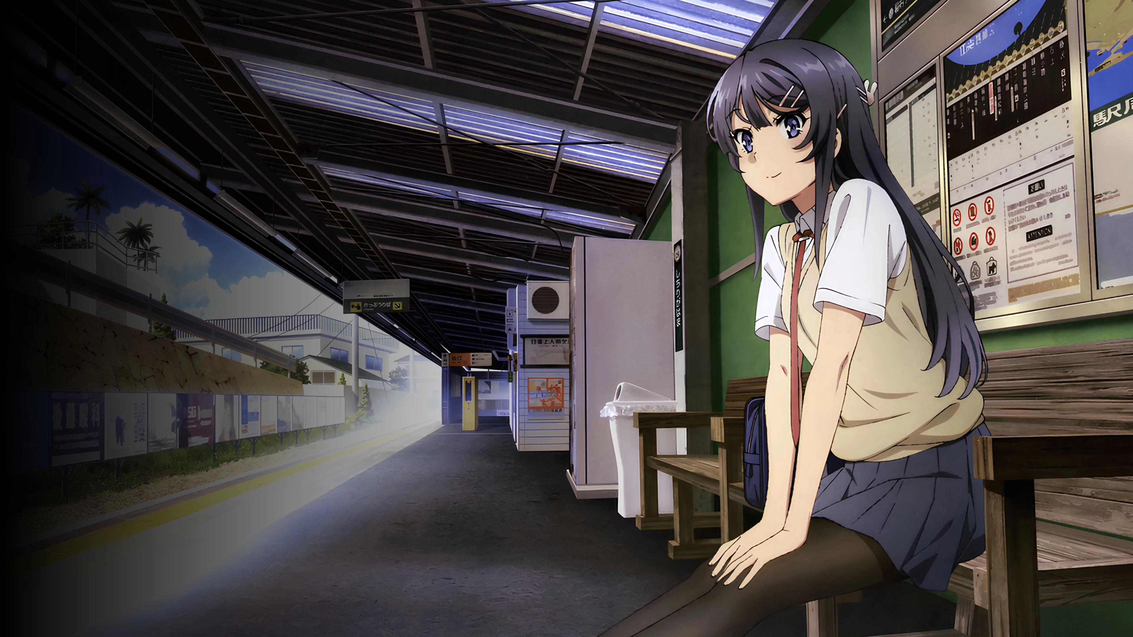 Rascal Does Not Dream of Bunny Girl Senpai