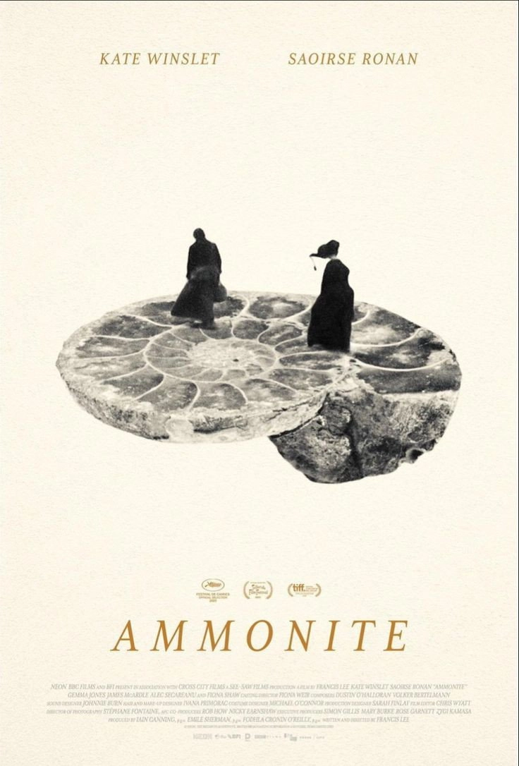 Ammonite