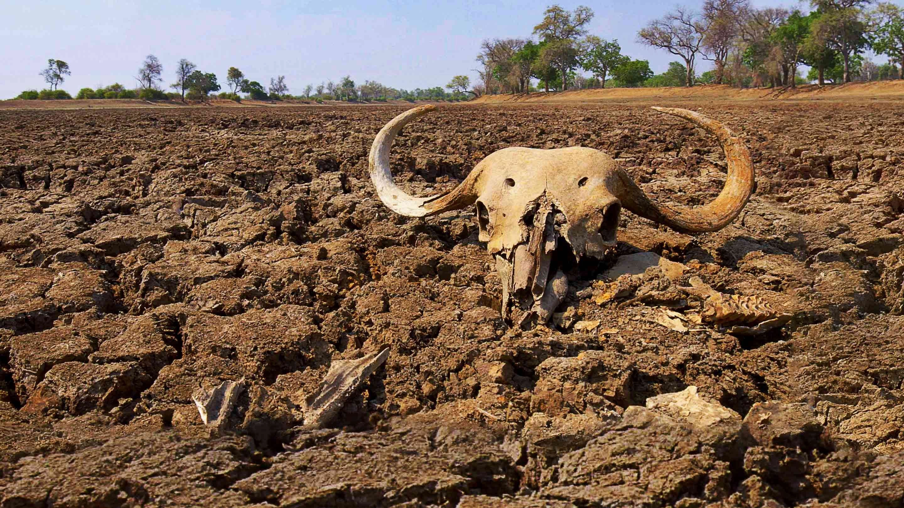 The Big Dry