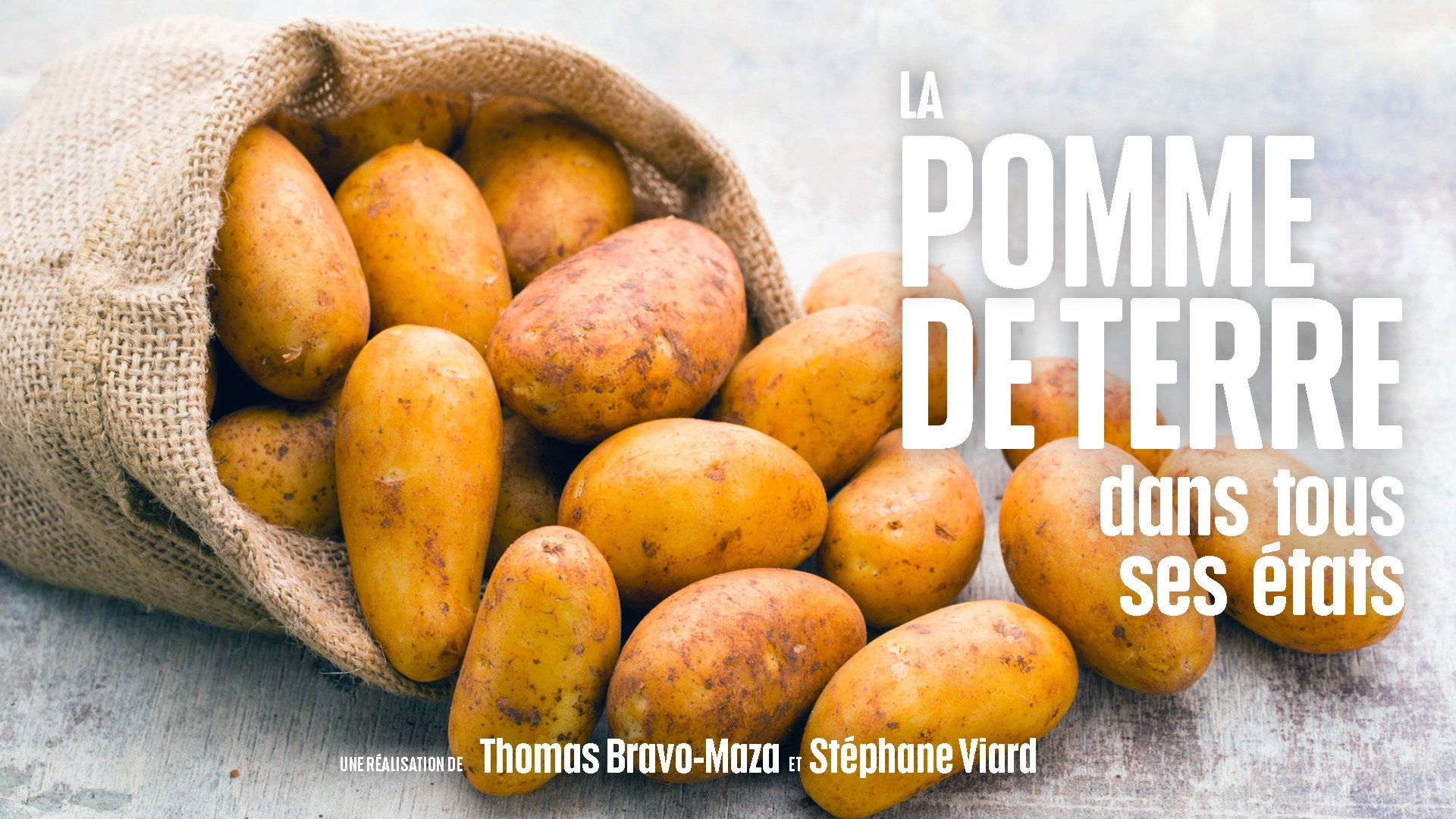Le Doc du dimanche