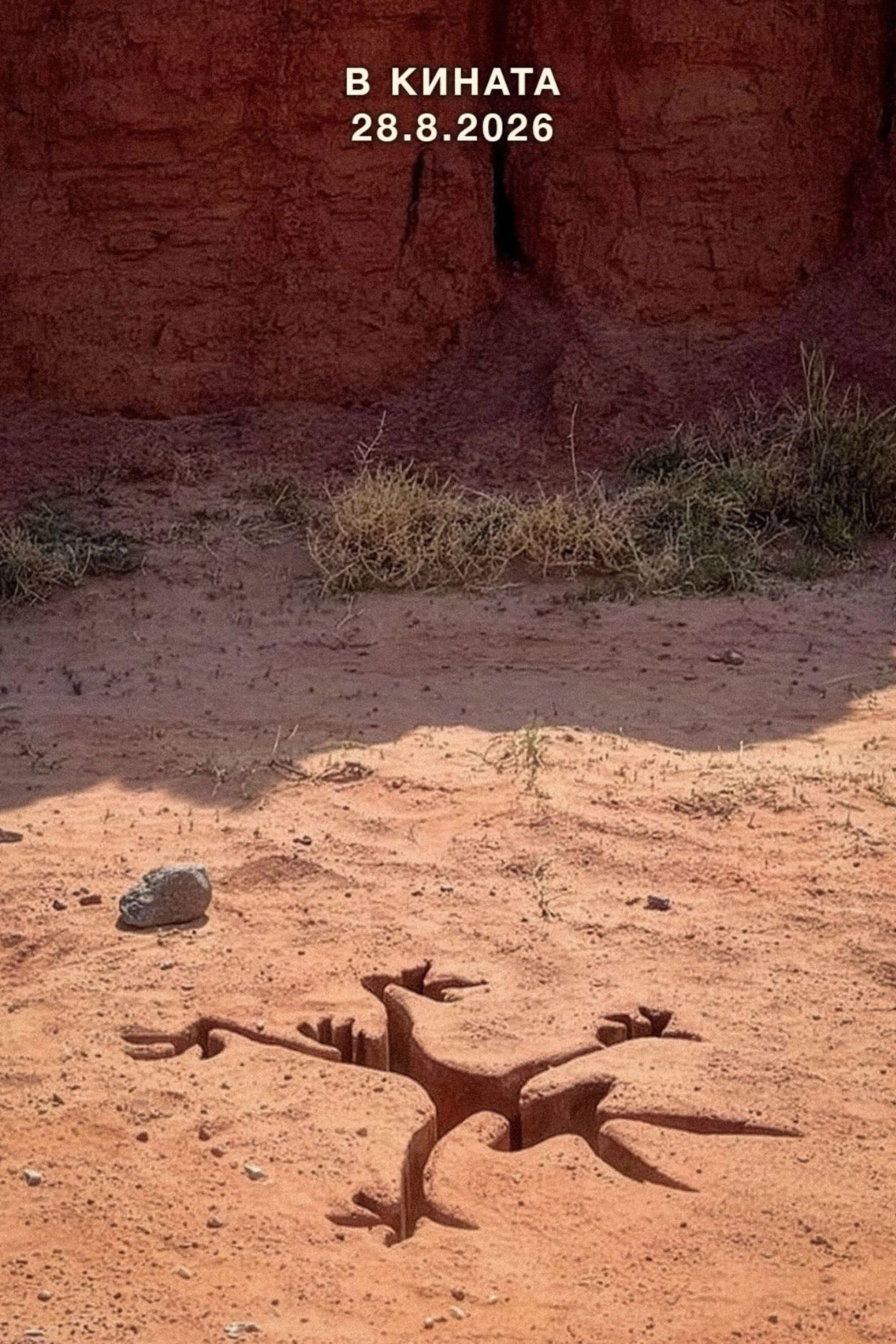 Coyote vs ACME