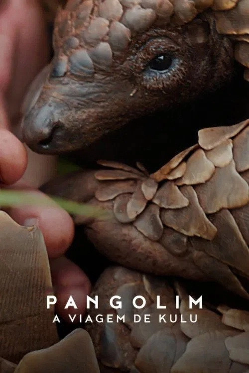 Pangolin: Kulu's Journey