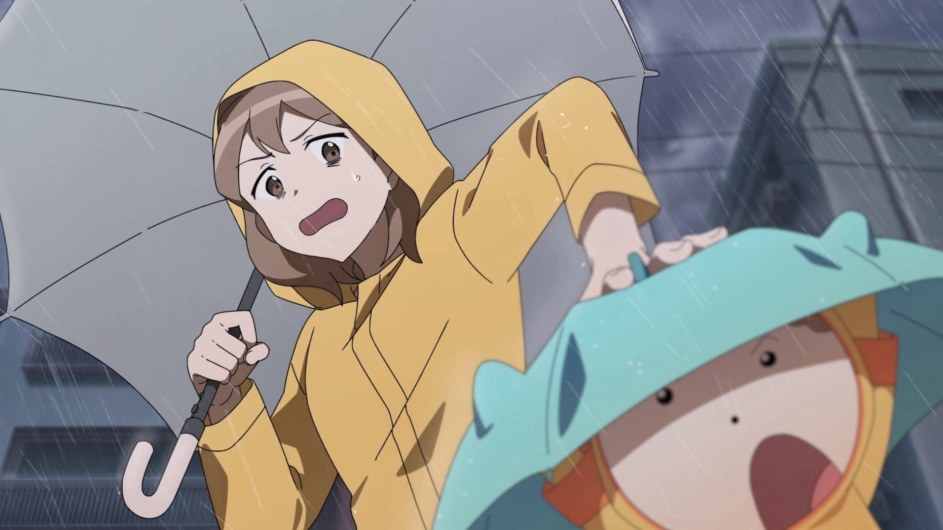 Maru is a Puppy