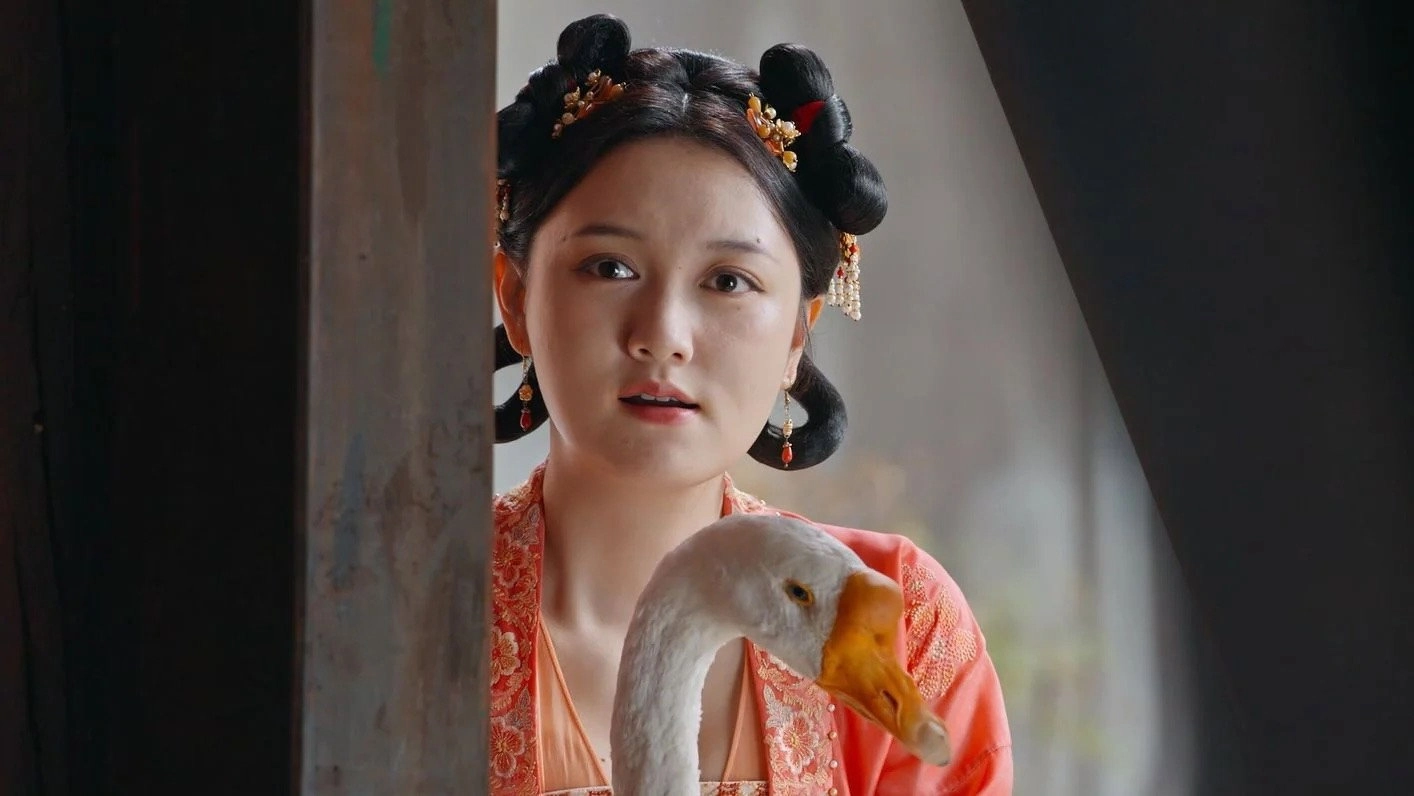 The Rise of Ning