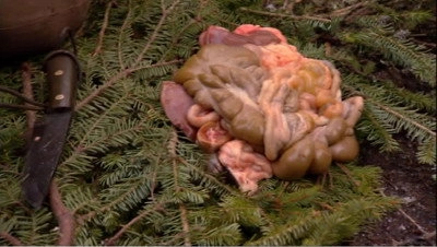 Dual Survival