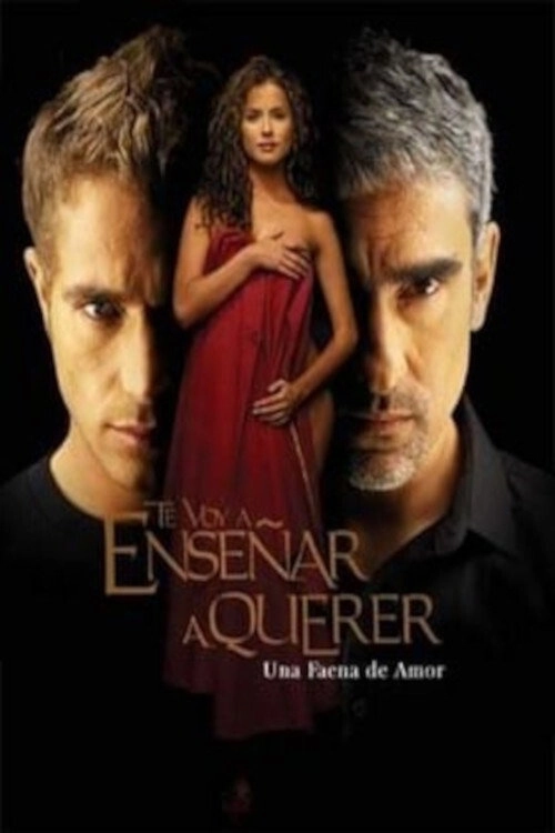 Te voy a enseñar a querer