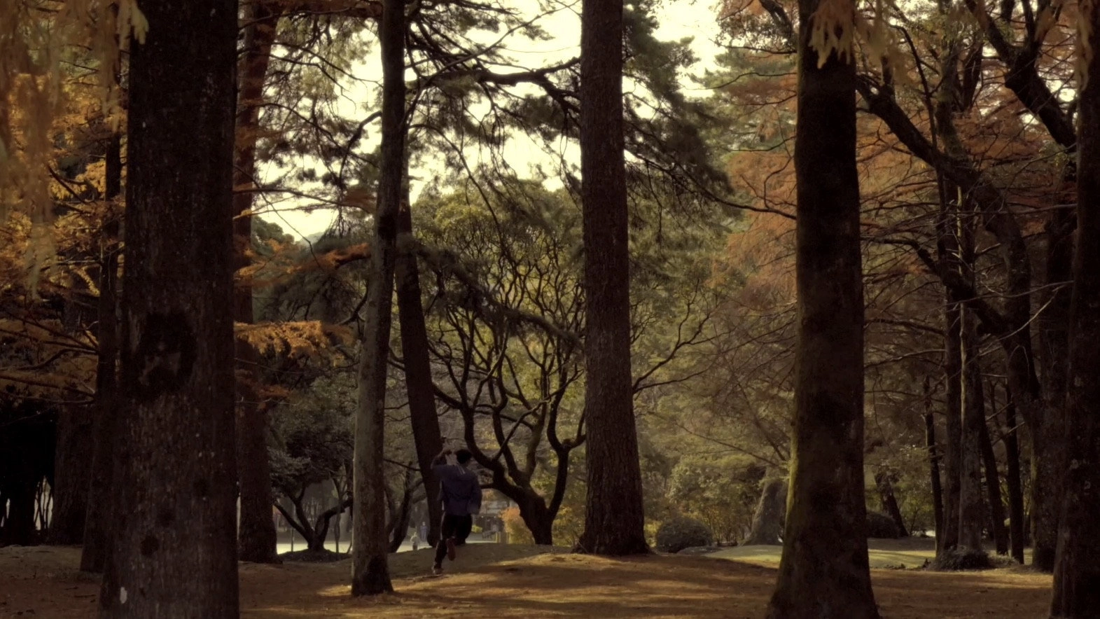 Dear A Pair of Sandalwoods,