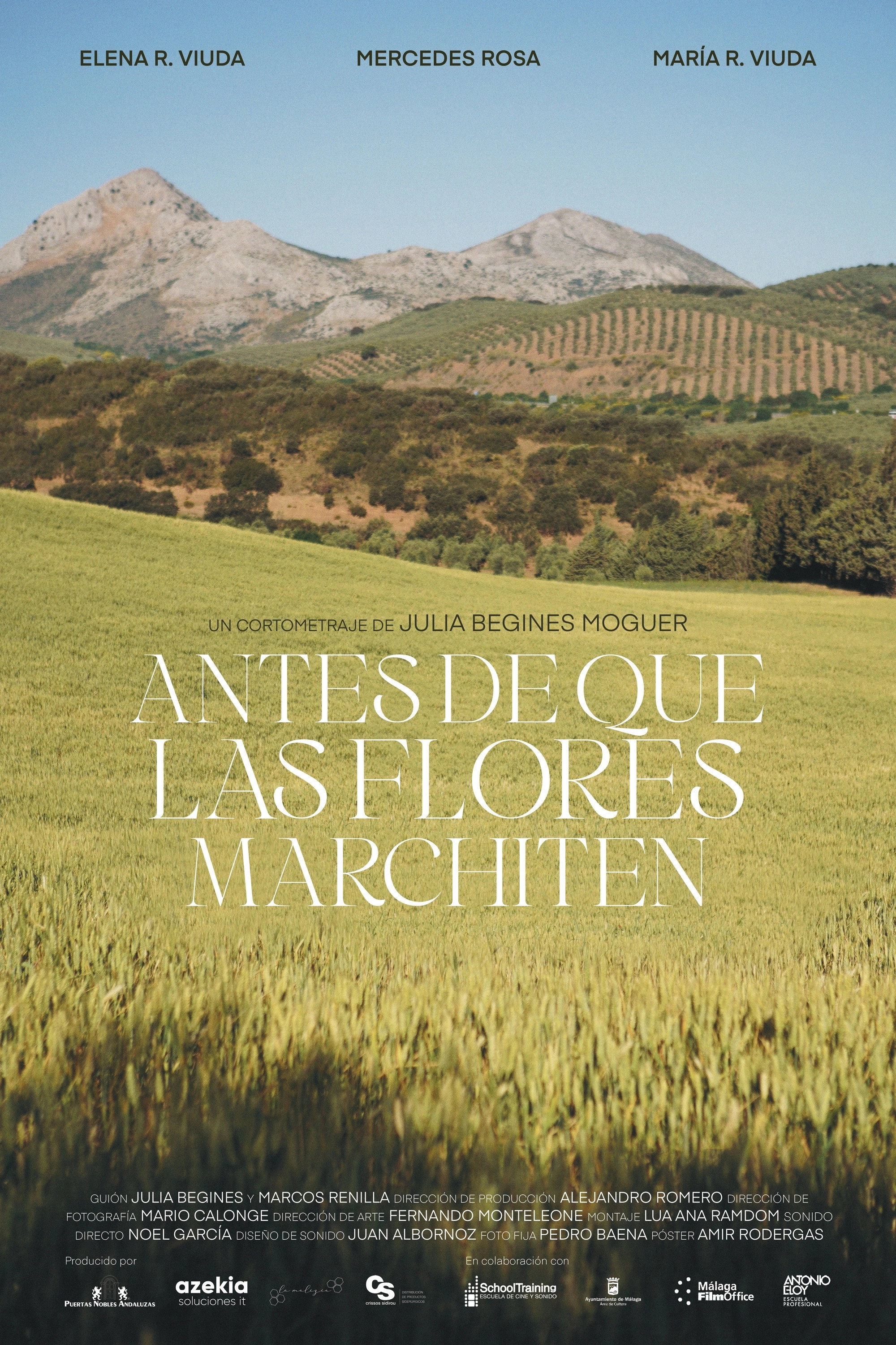 Antes de que las flores marchiten
