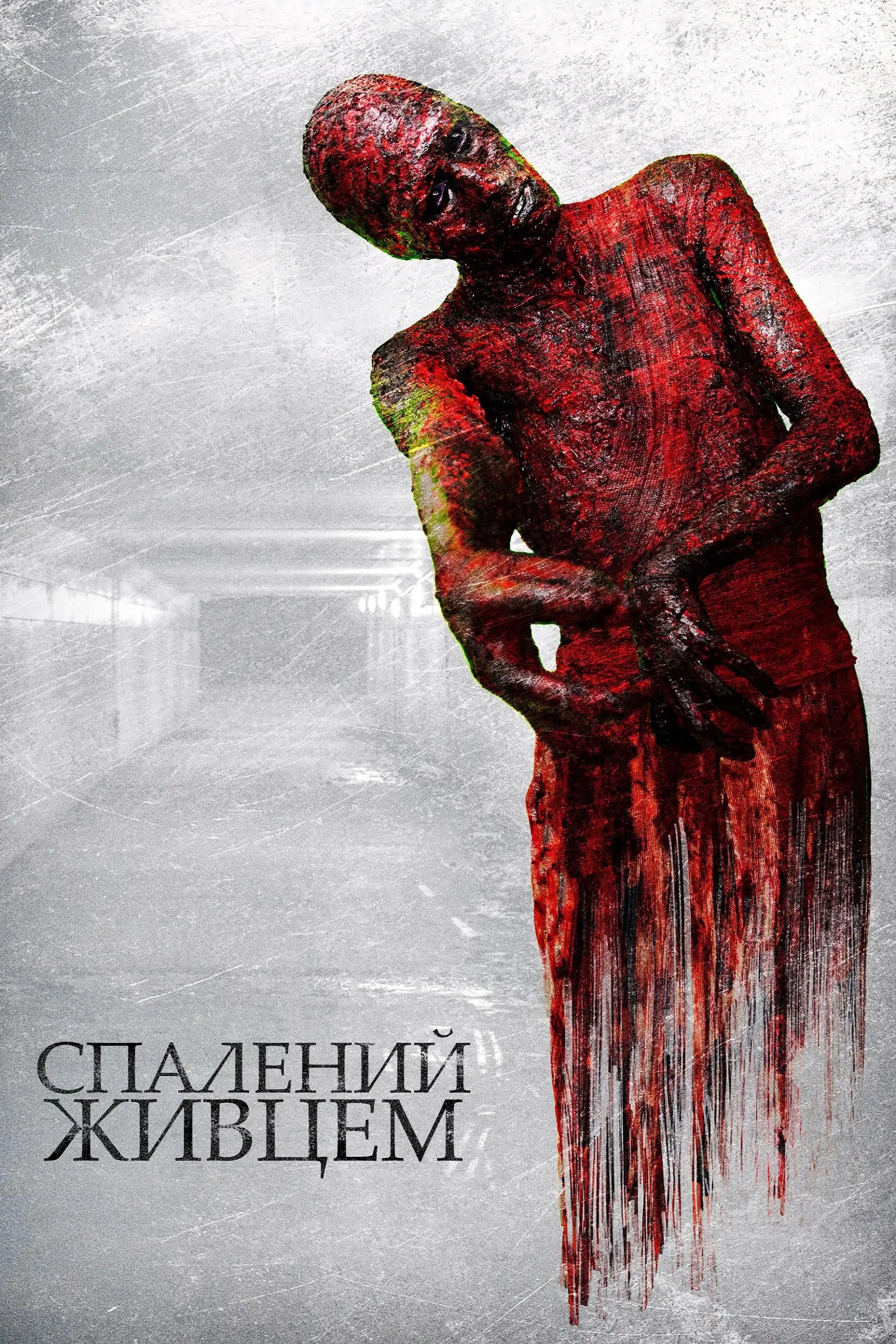 The Devil's Tail
