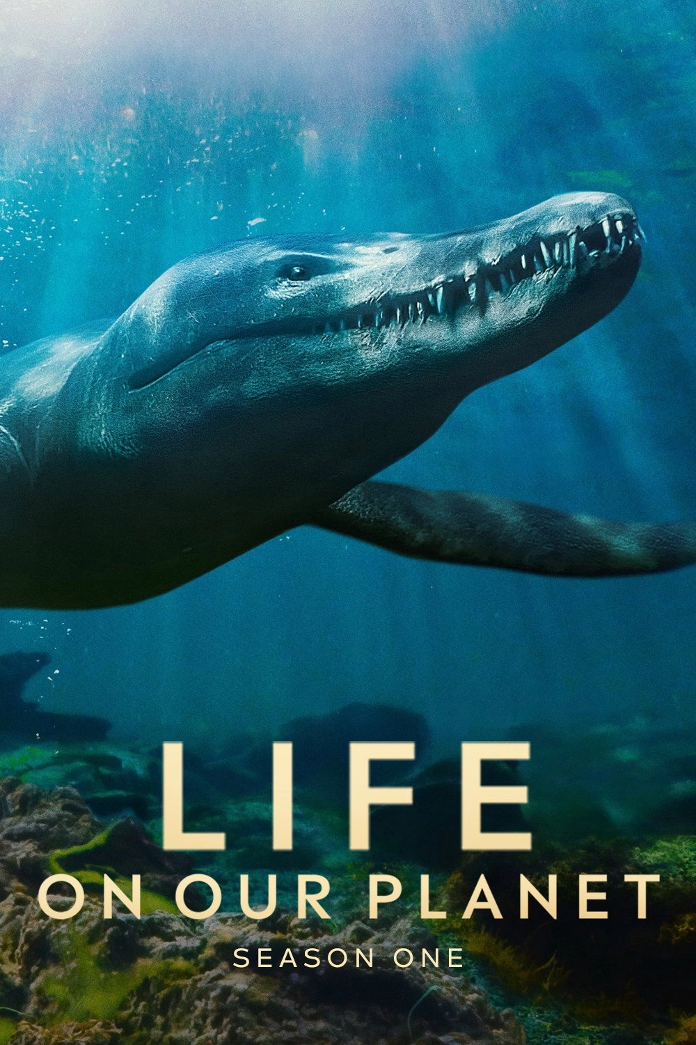 Life on Our Planet