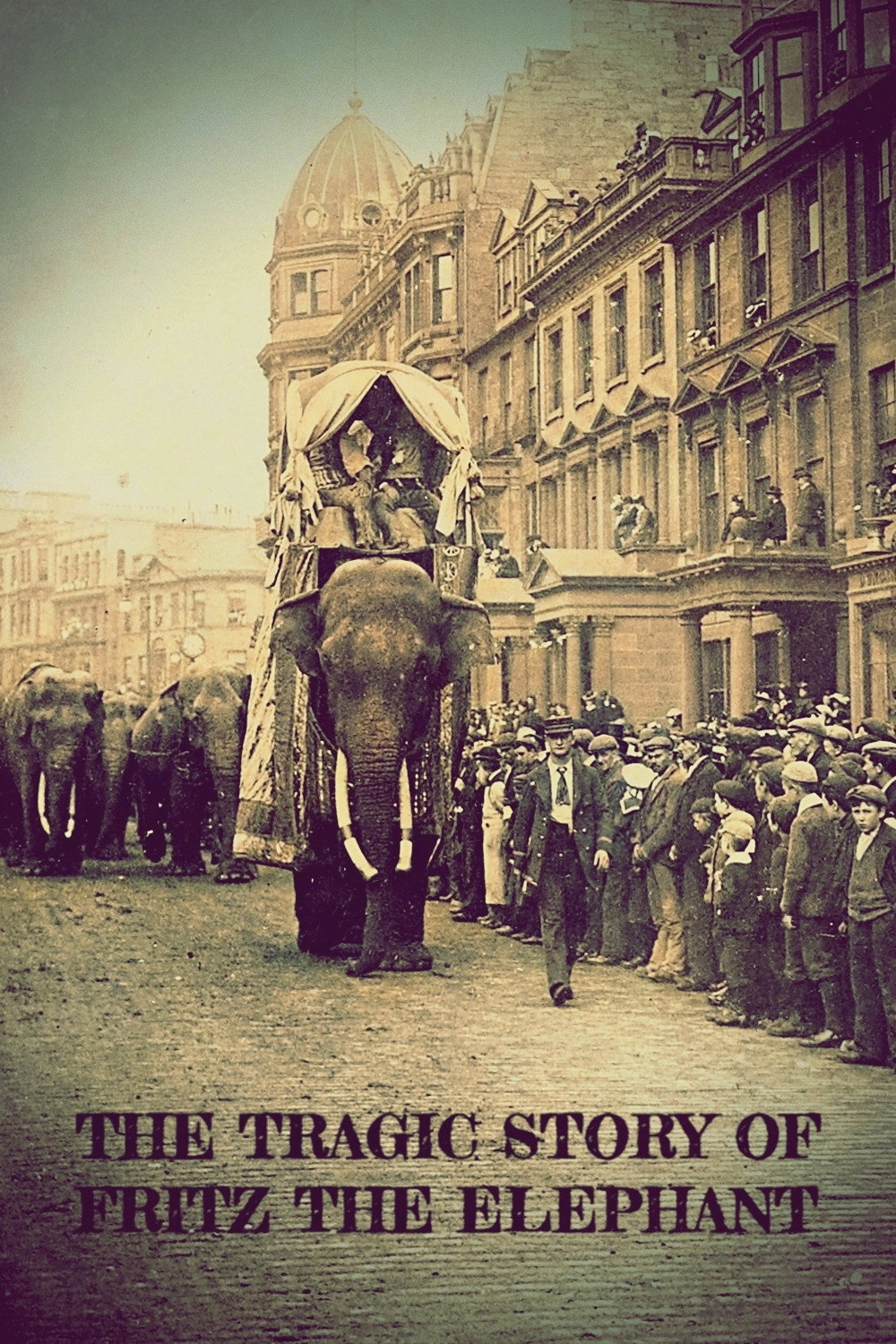 The Tragic Story of Fritz the Elephant