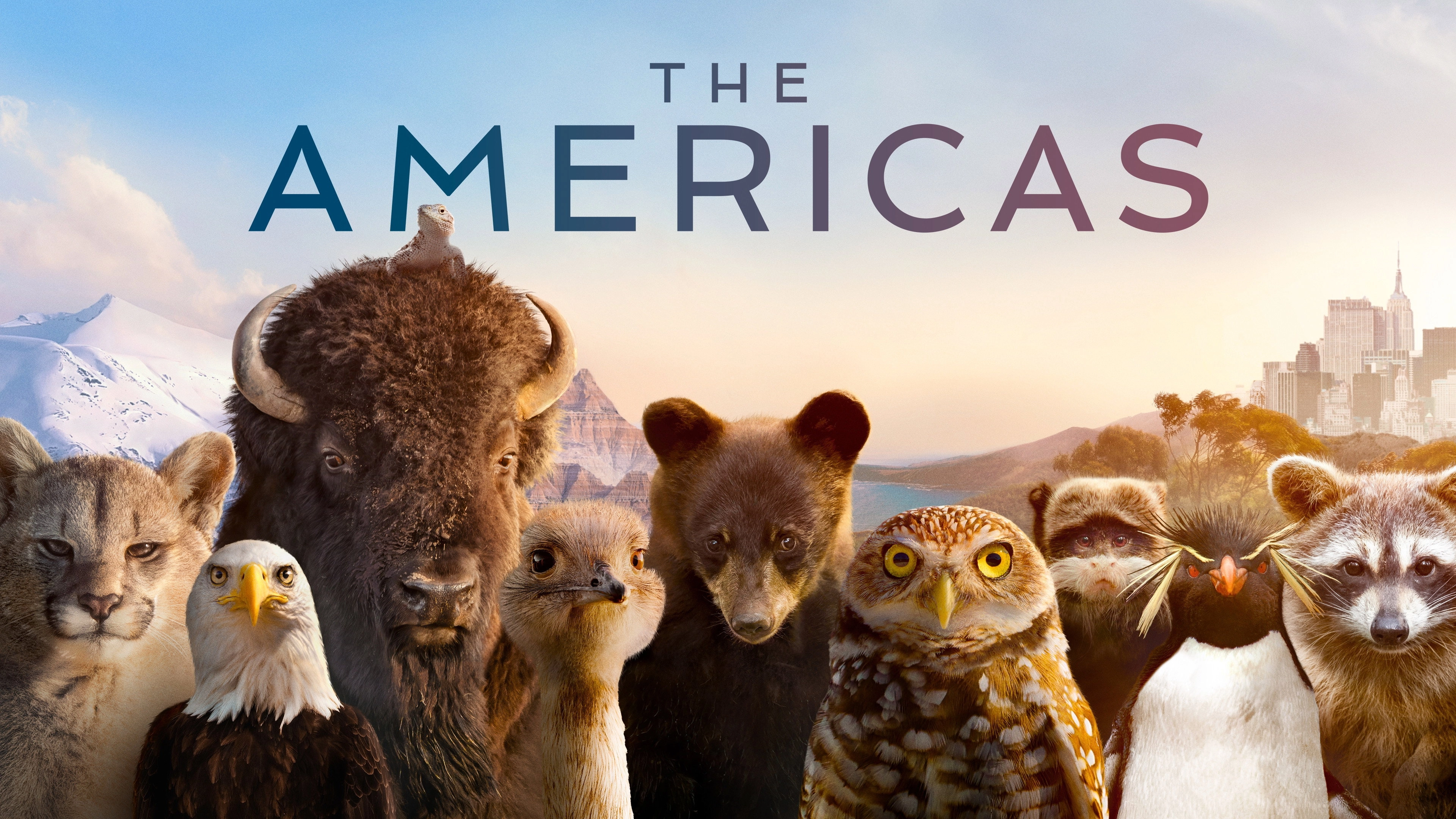 The Americas