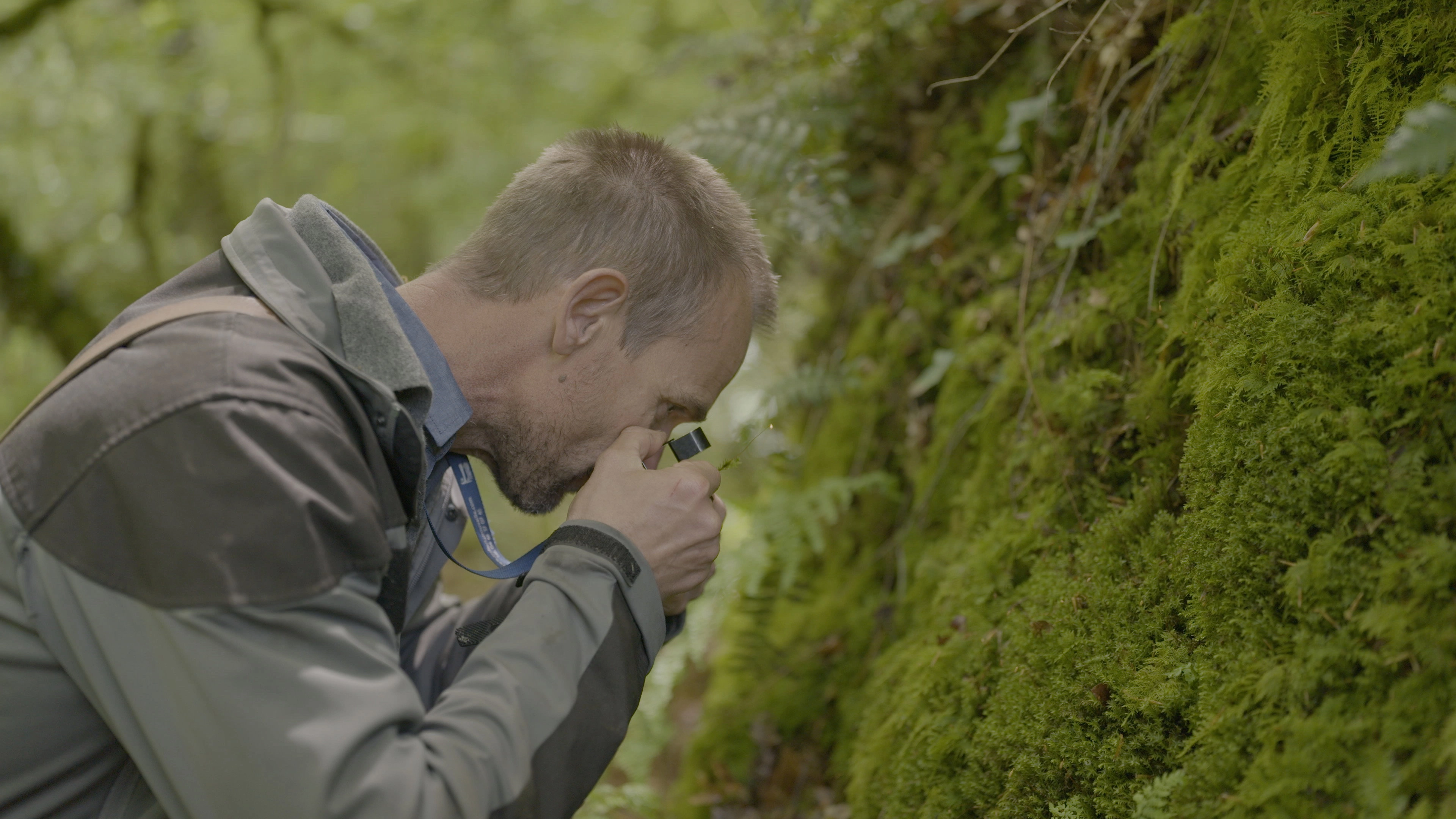 The Magical World of Moss