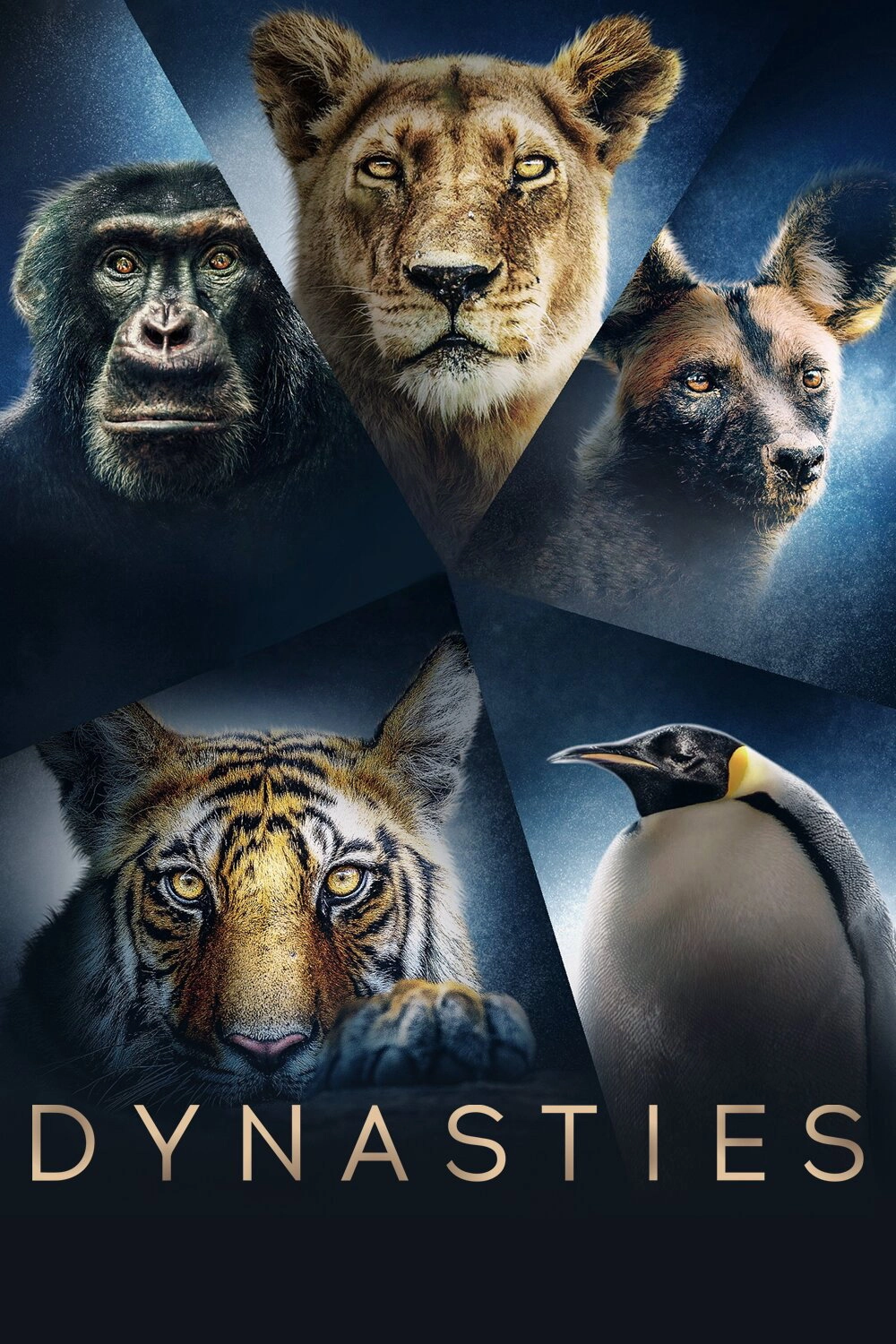 Dynasties