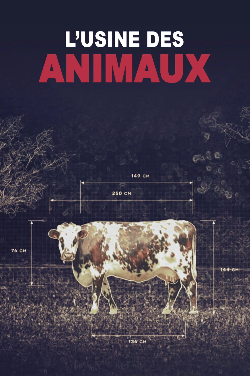 Production Line Animals