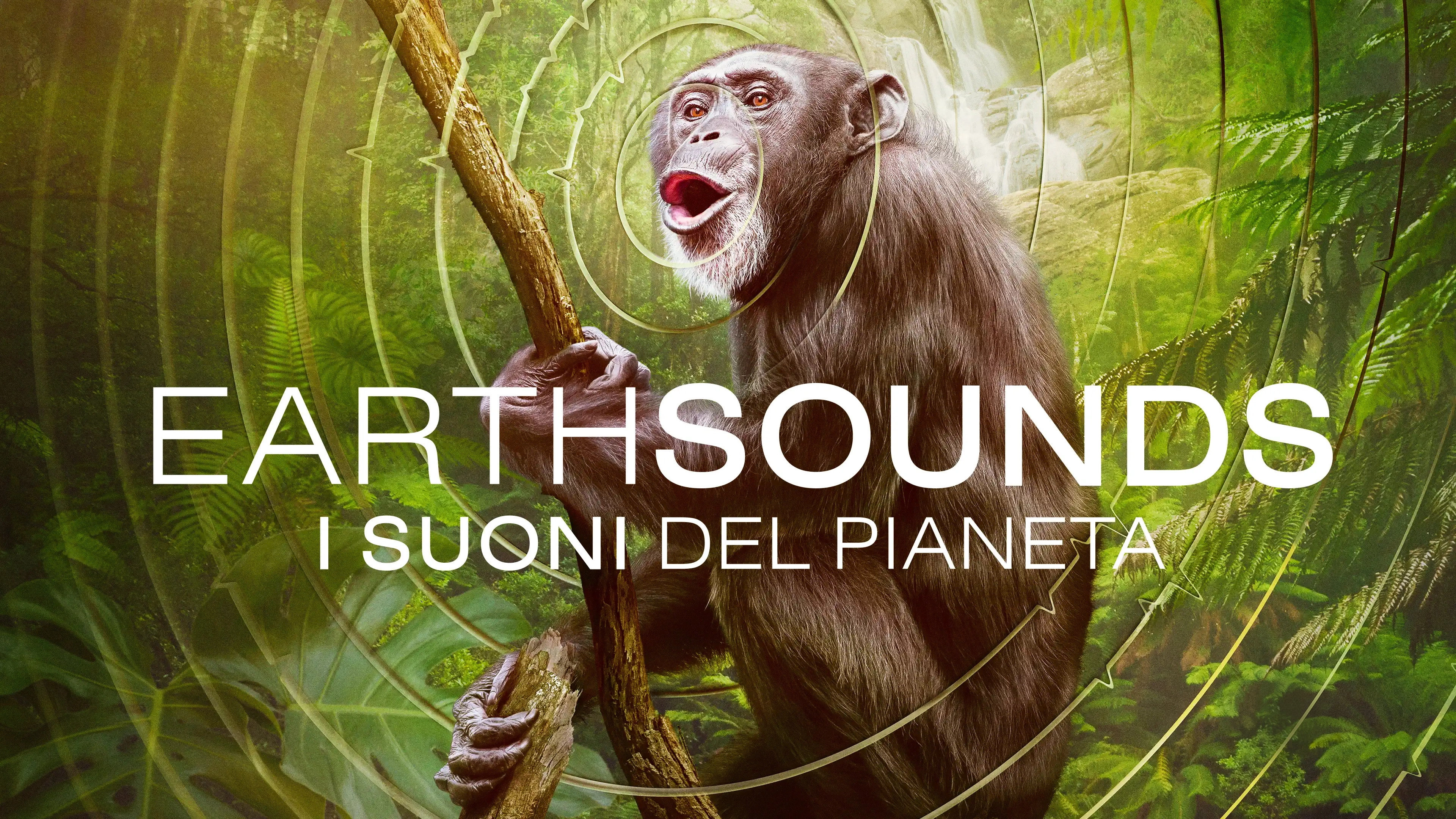 Earthsounds