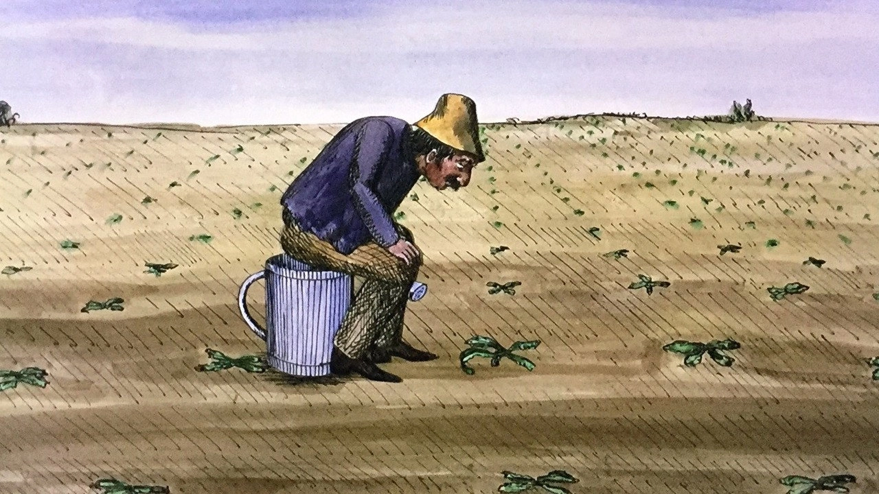 The Snails