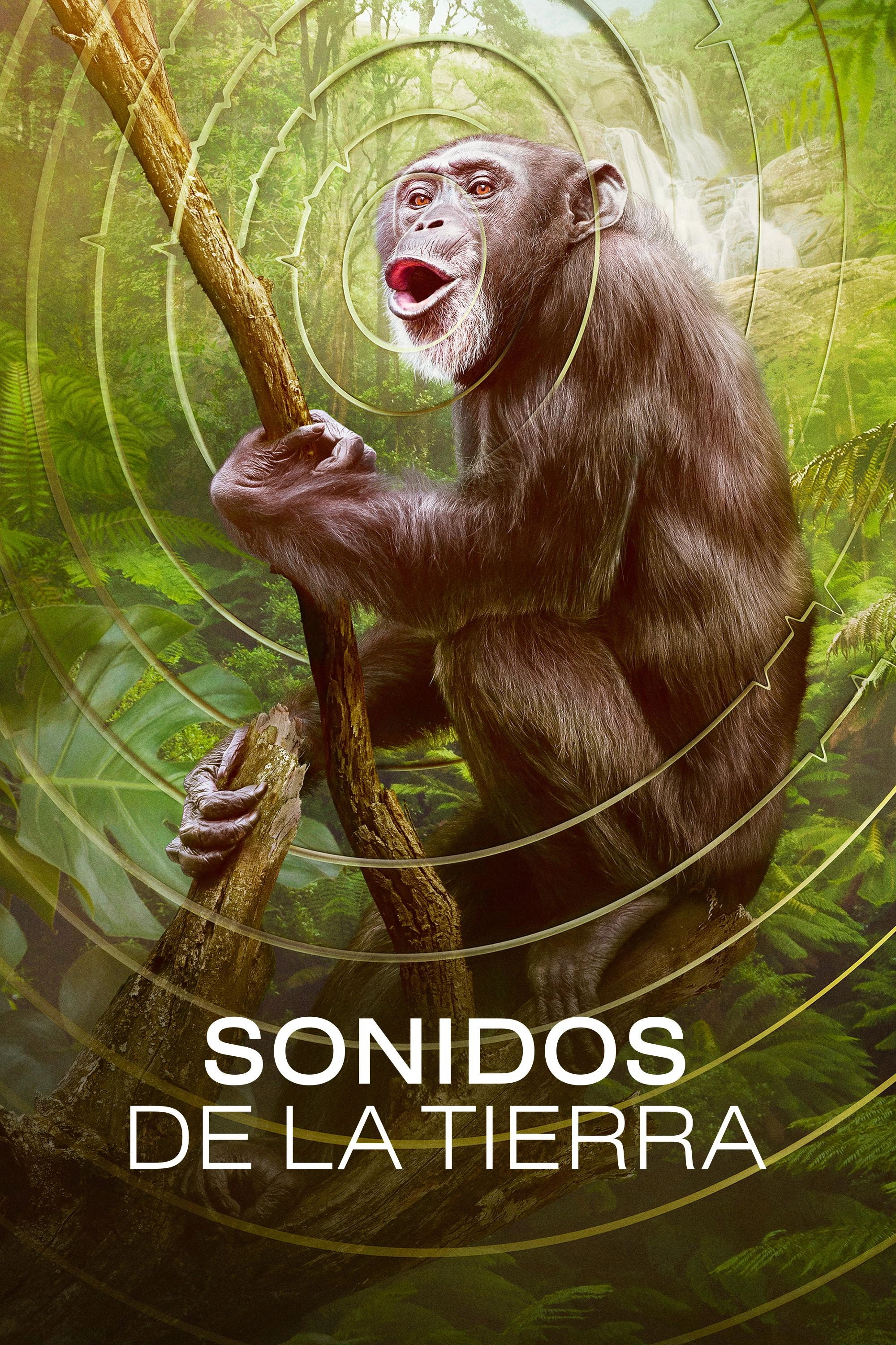 Earthsounds