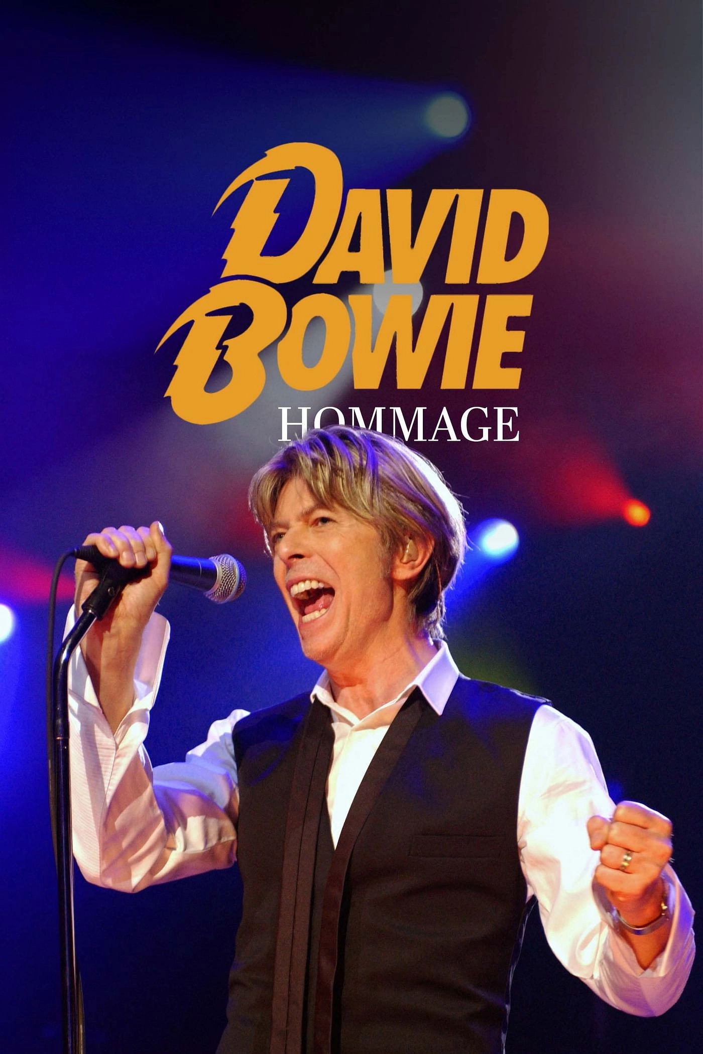 Tribute to David Bowie - Heroes Never Die