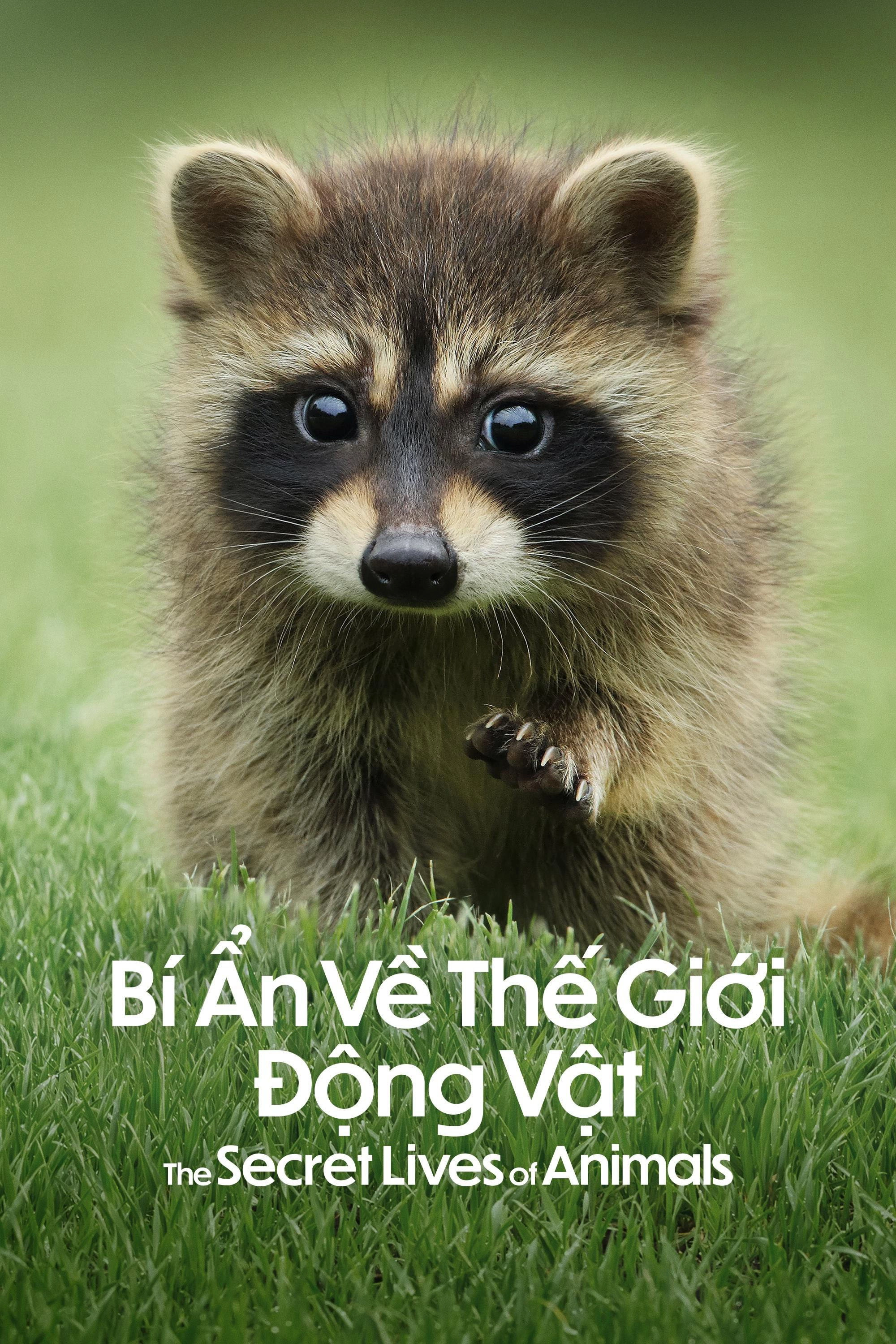 The Secret Lives of Animals