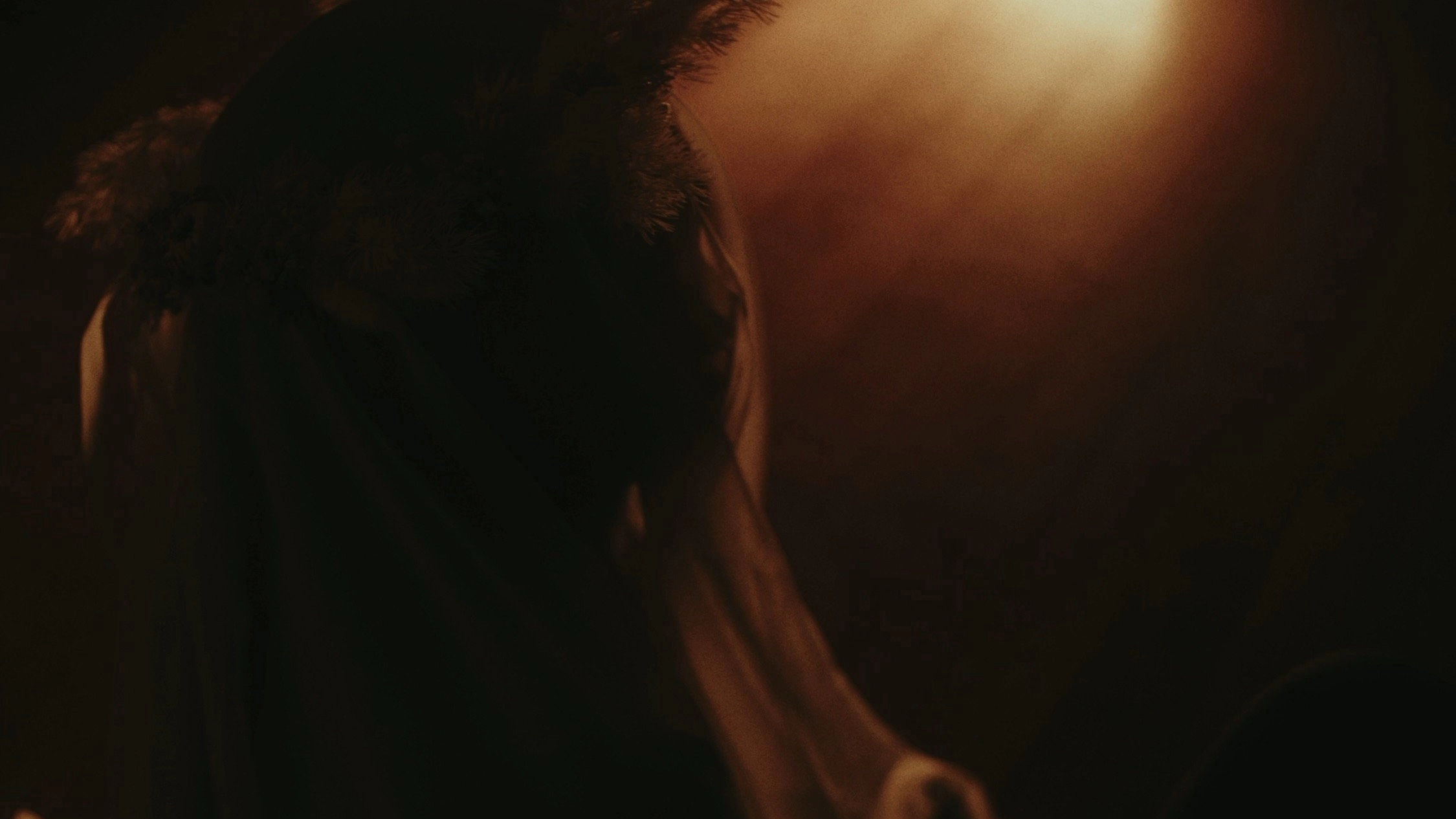 The Shroud