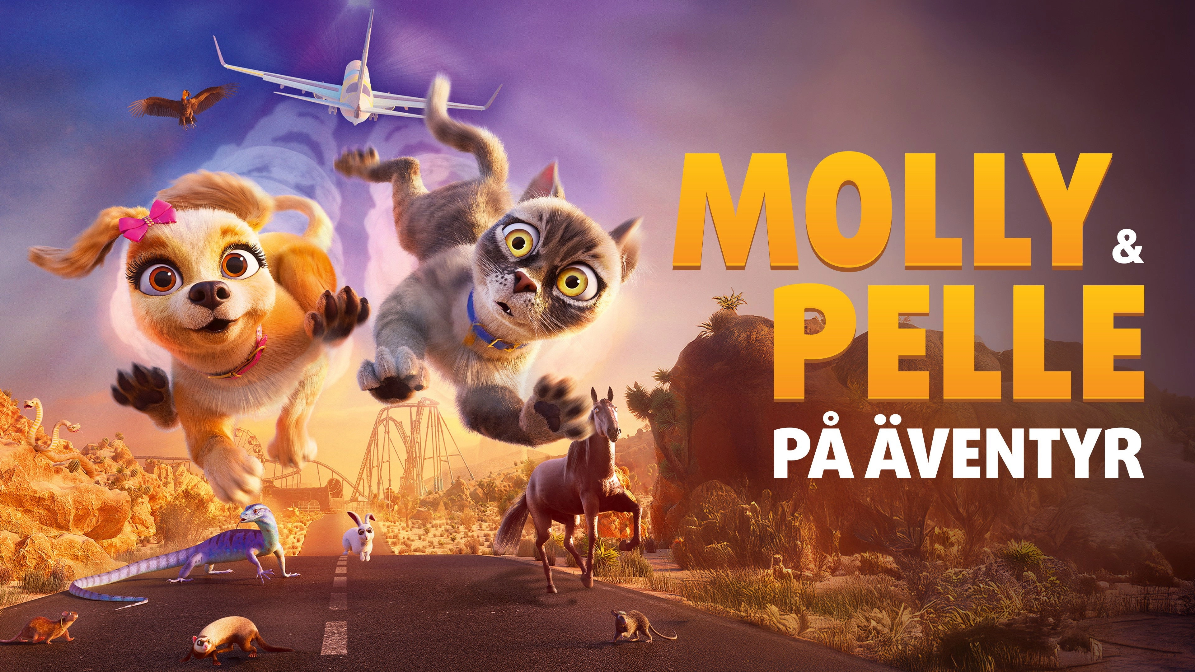 Gracie & Pedro: Pets to the Rescue
