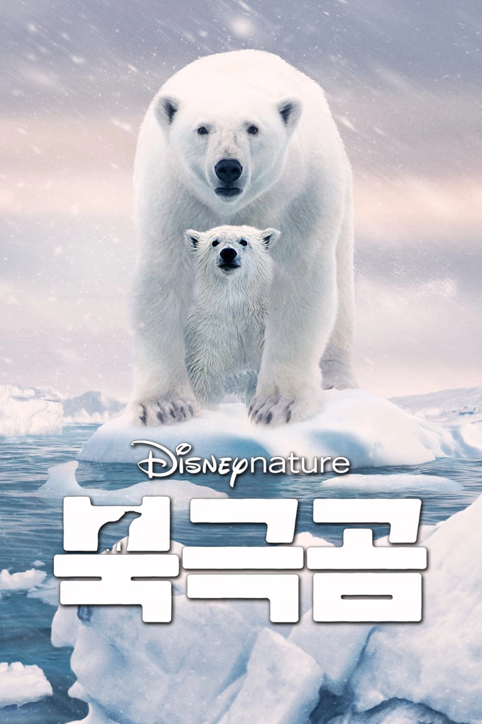 Polar Bear