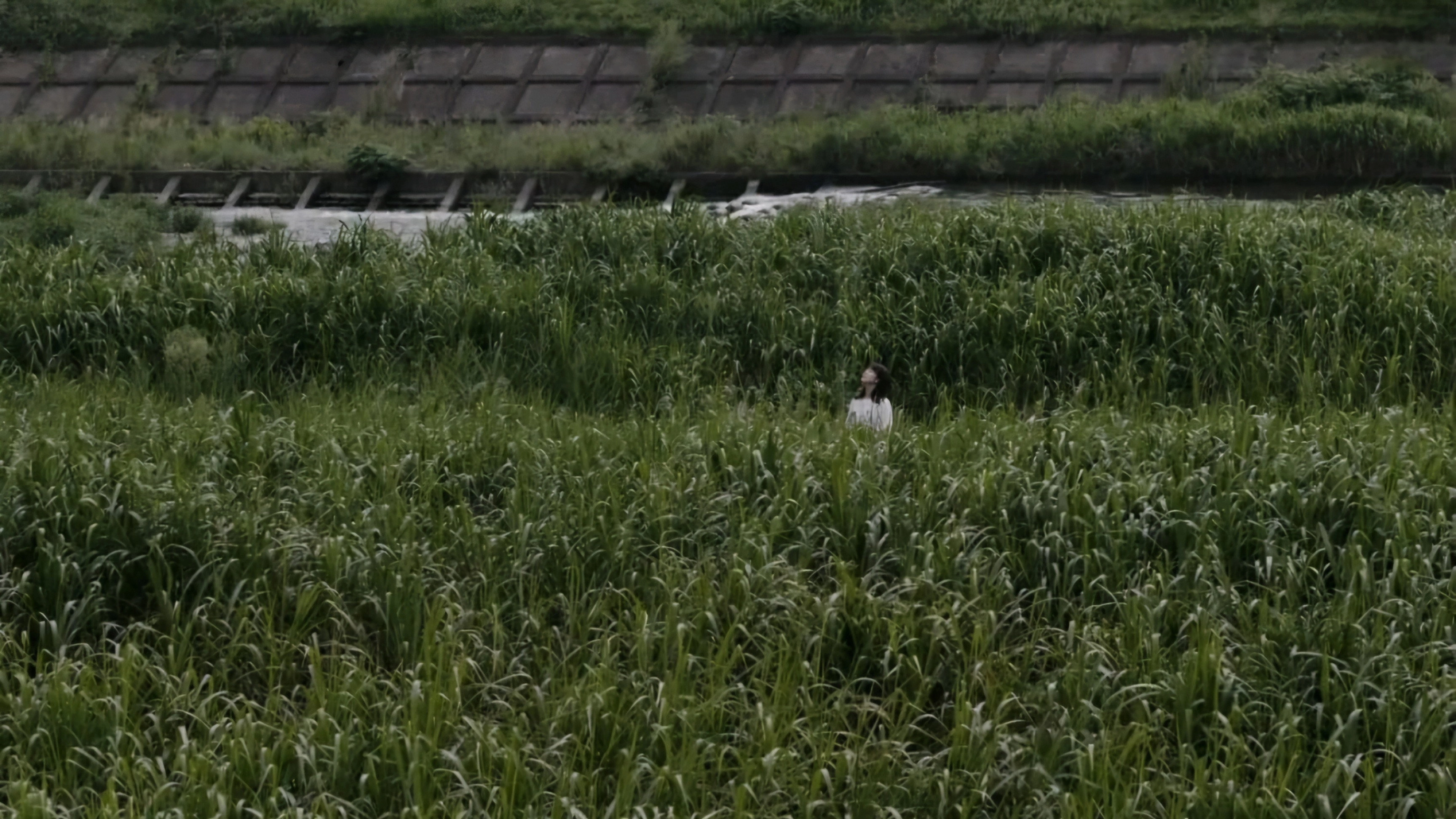 Asako I & II