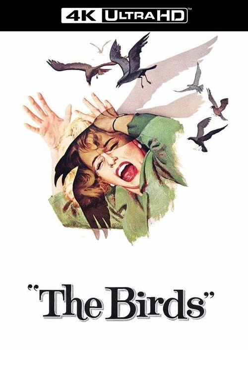 The Birds