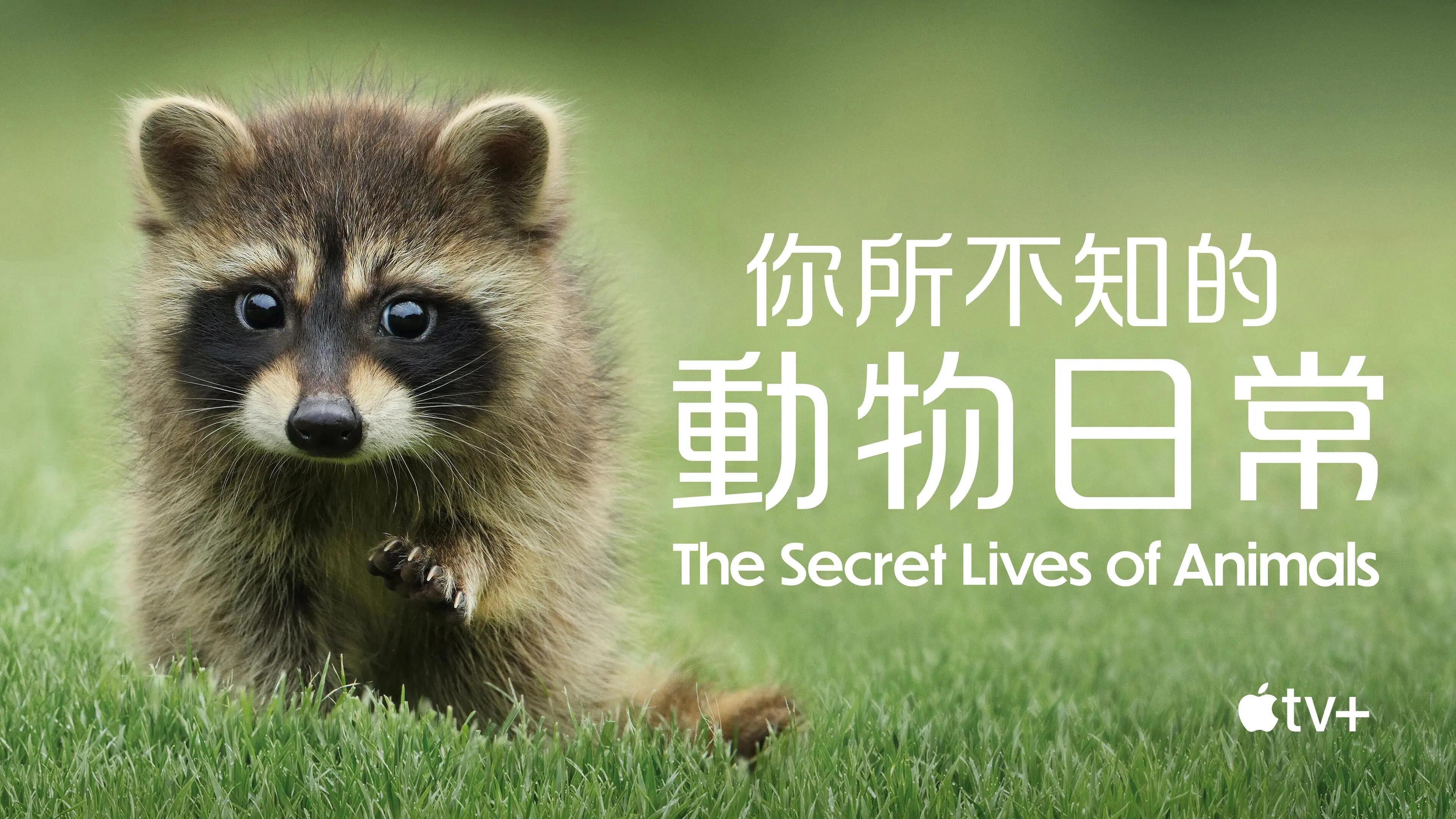 The Secret Lives of Animals