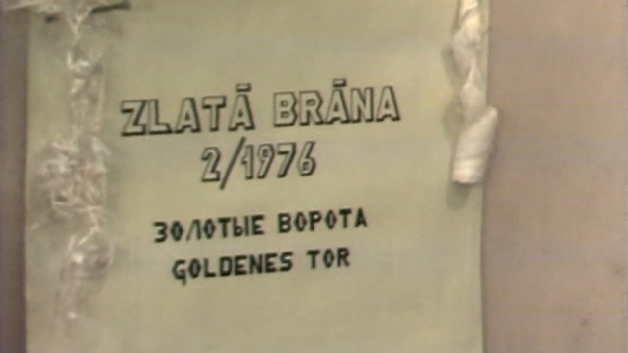 Birkin Person