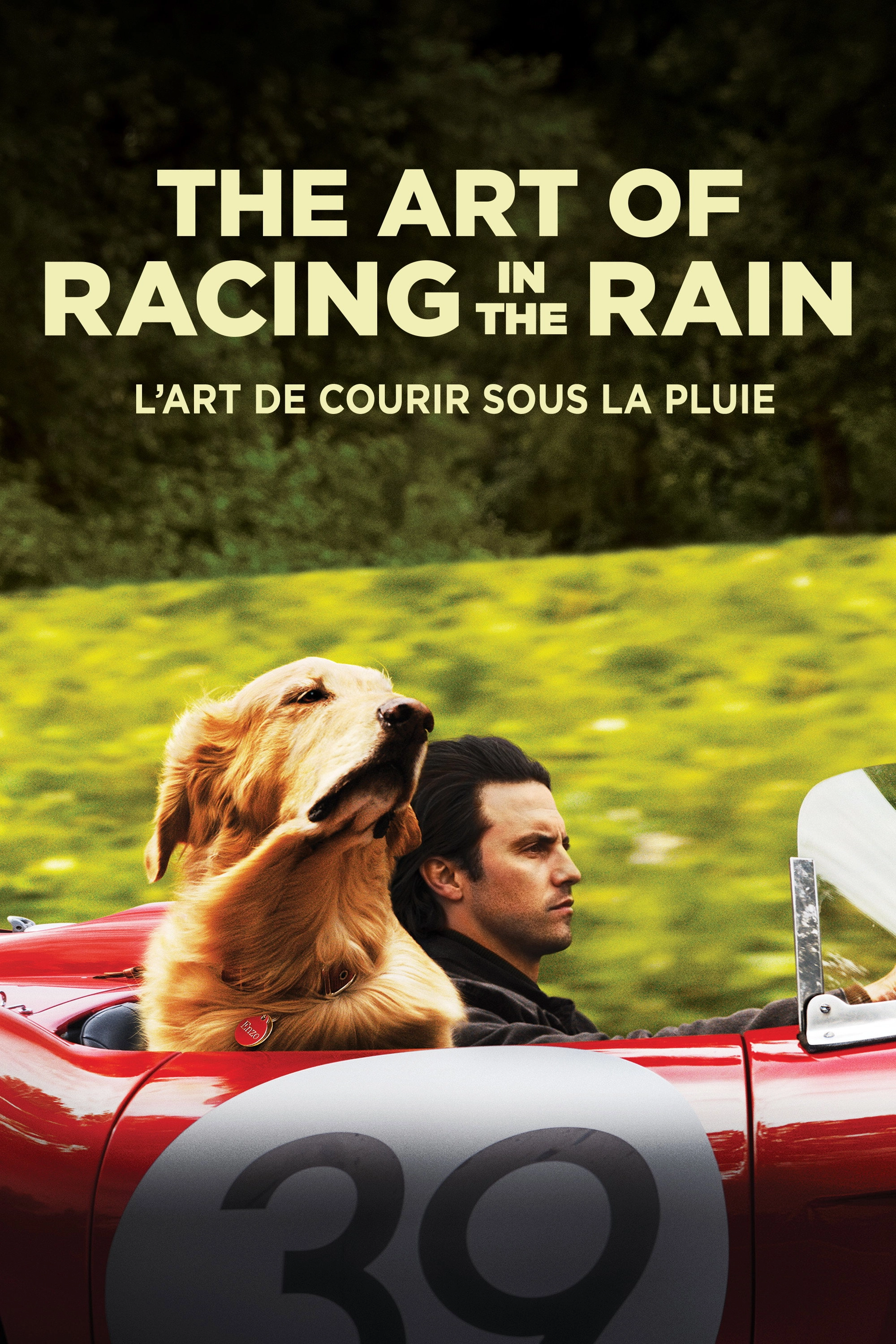 The Art of Racing in the Rain