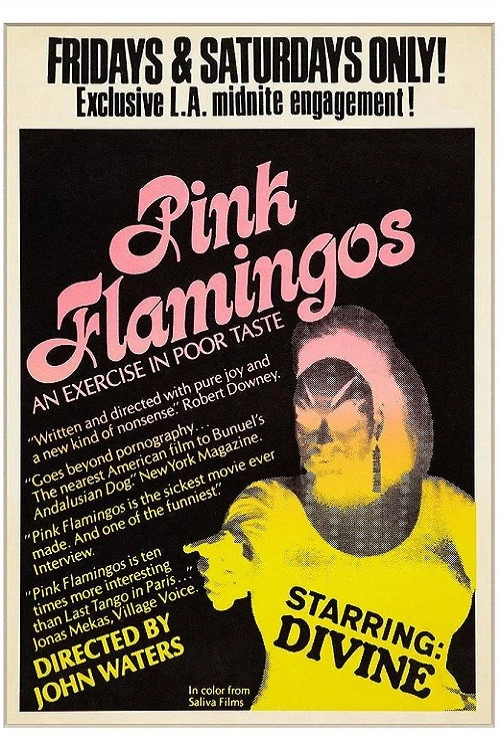 Pink Flamingos