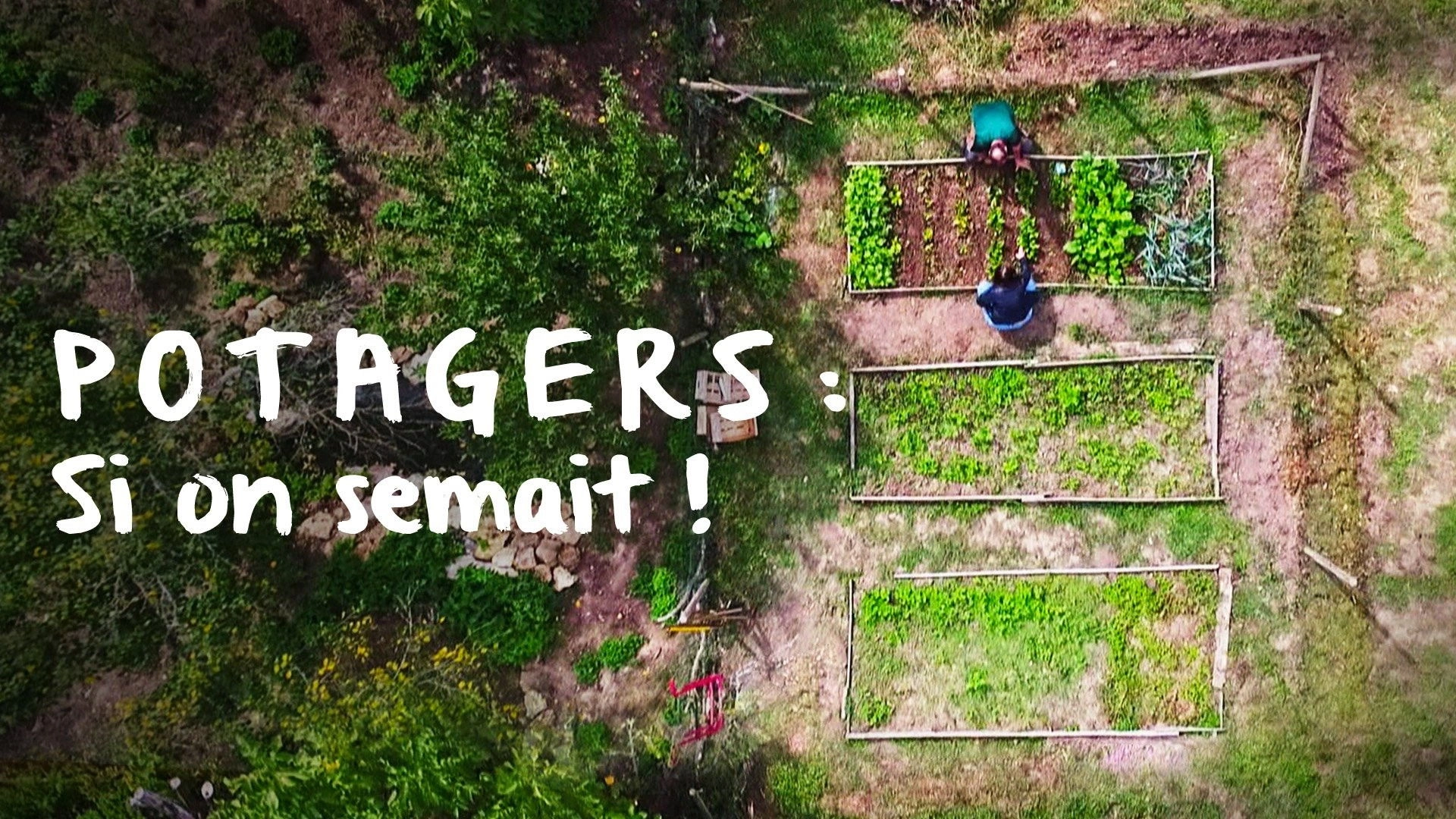Potagers : Si on semait !