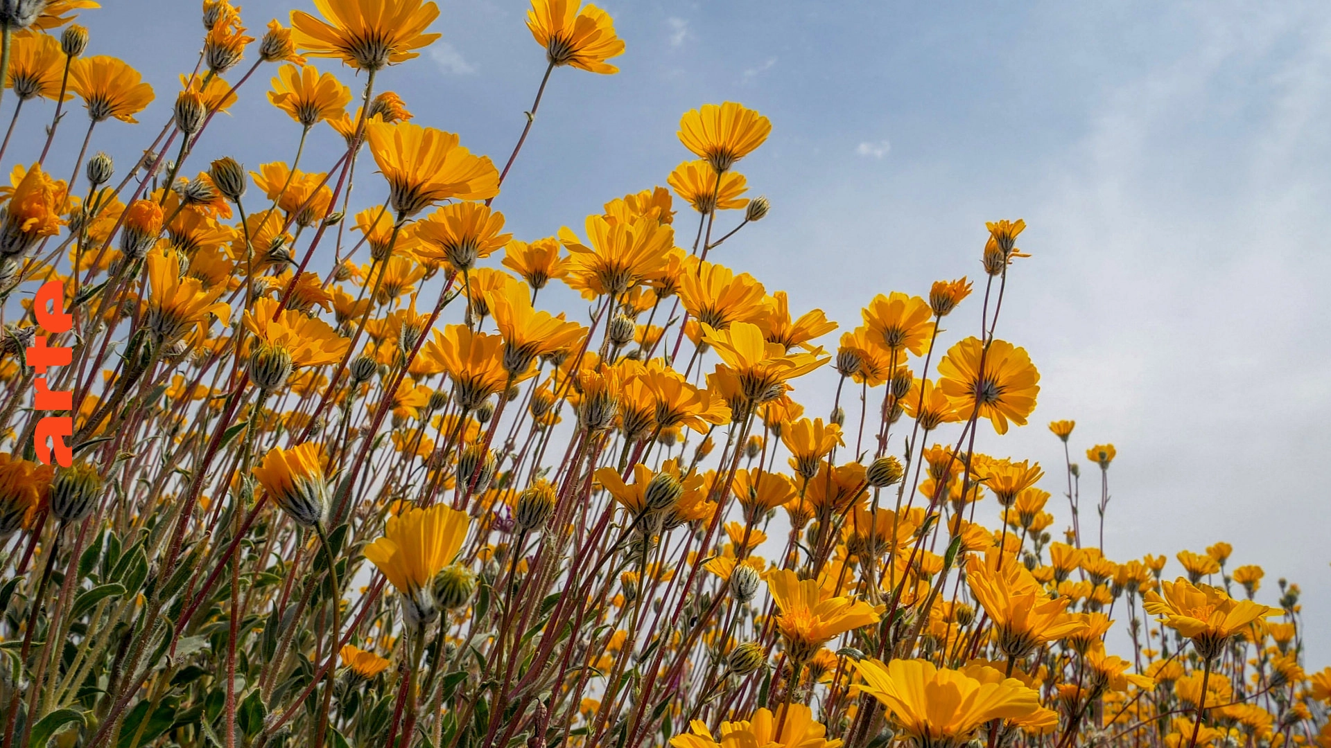 America's Wild Seasons