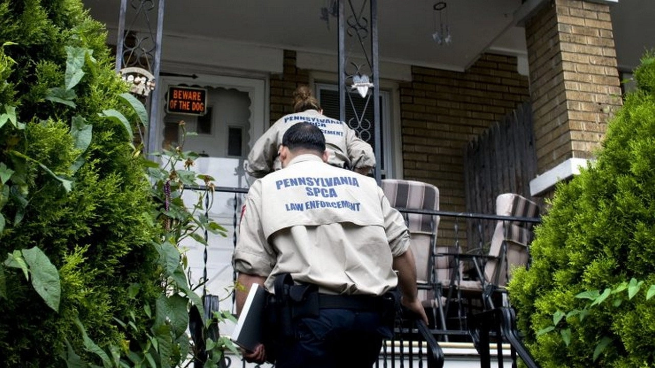Animal Cops: Philadelphia