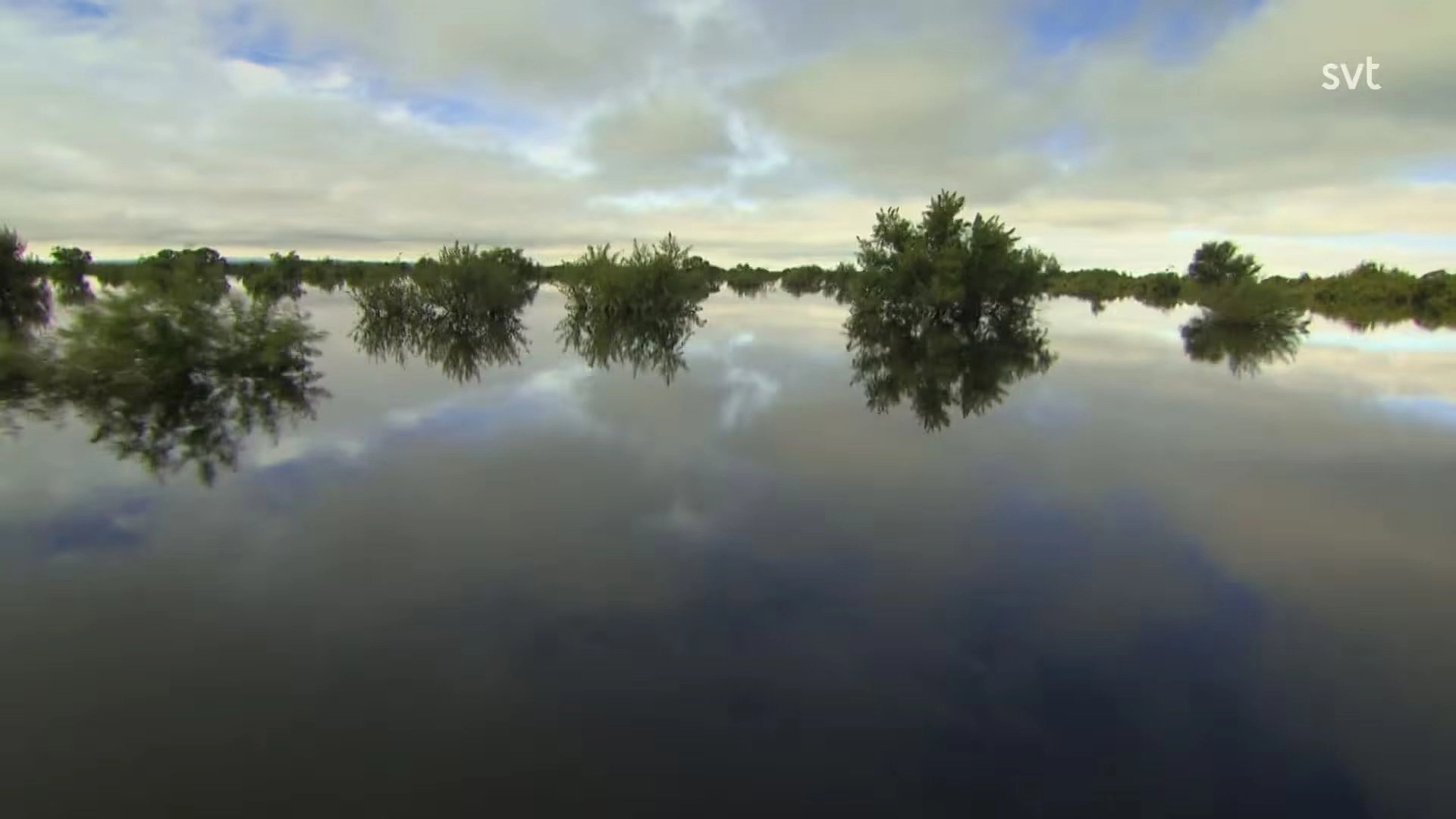 Amur: Asia's Amazon