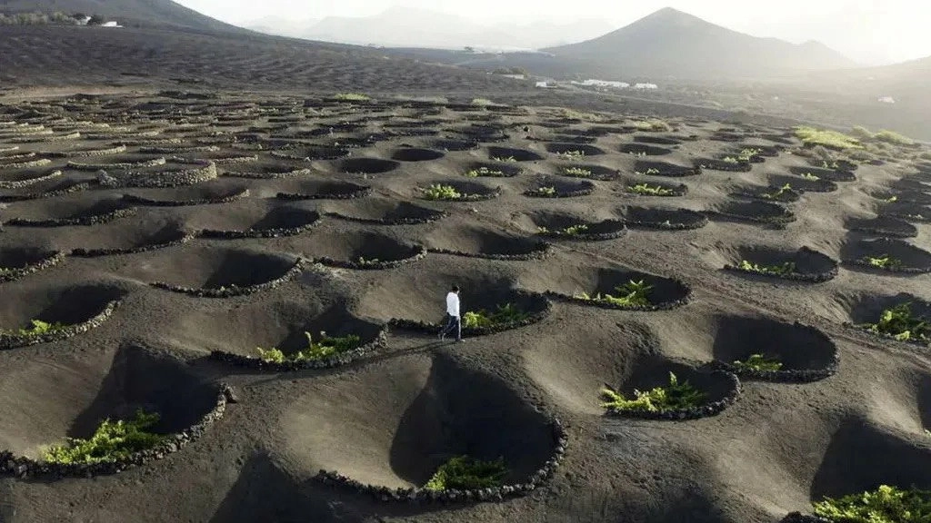 Viajeros Cuatro