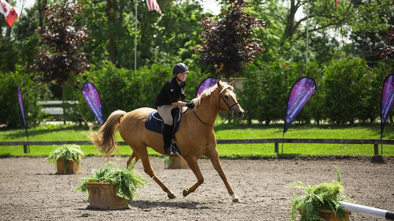 All-Round Champion