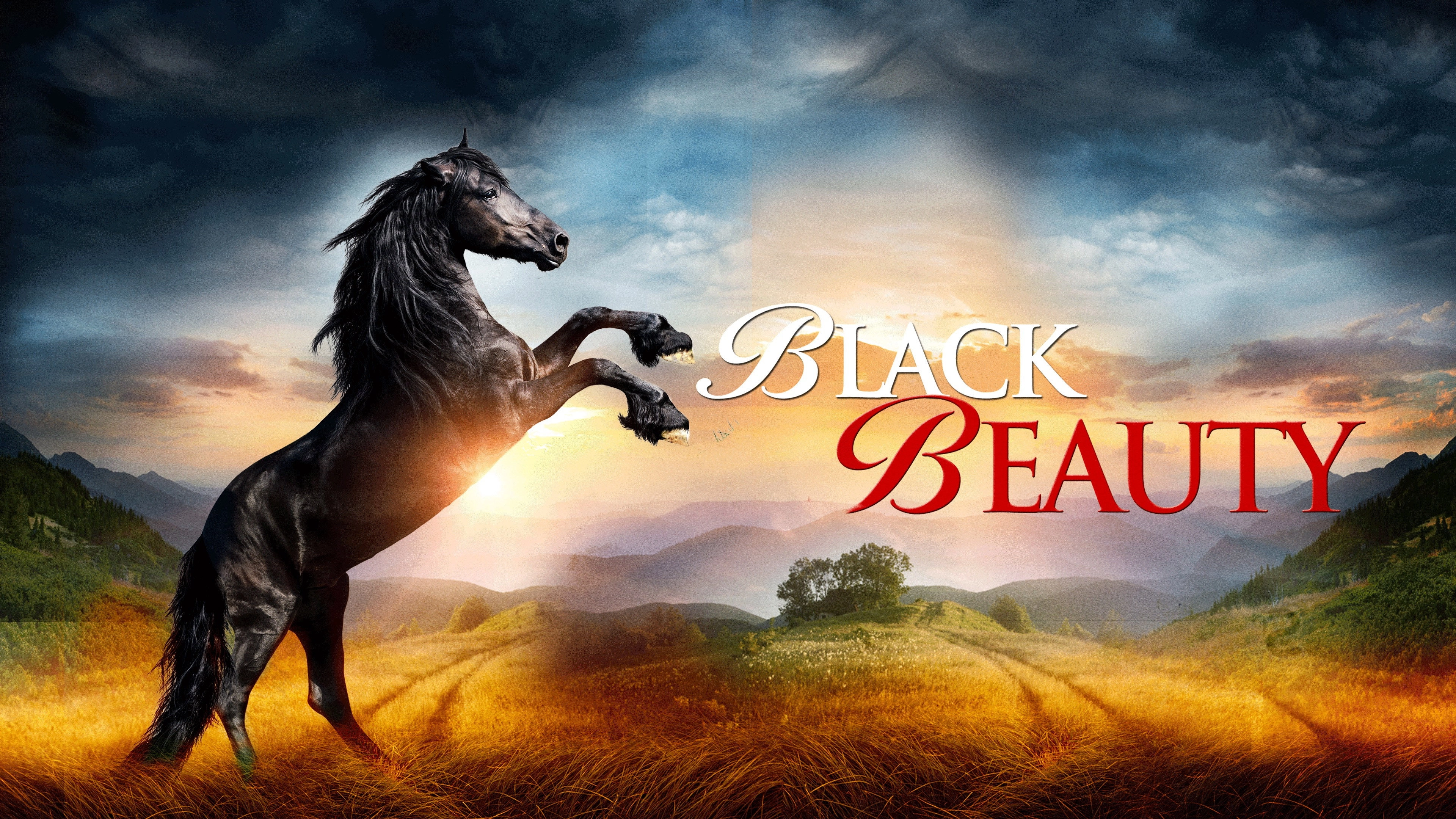 Black Beauty