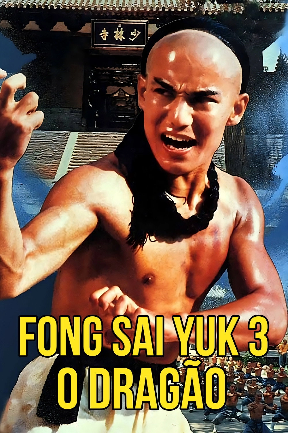 The Young Hero of Shaolin