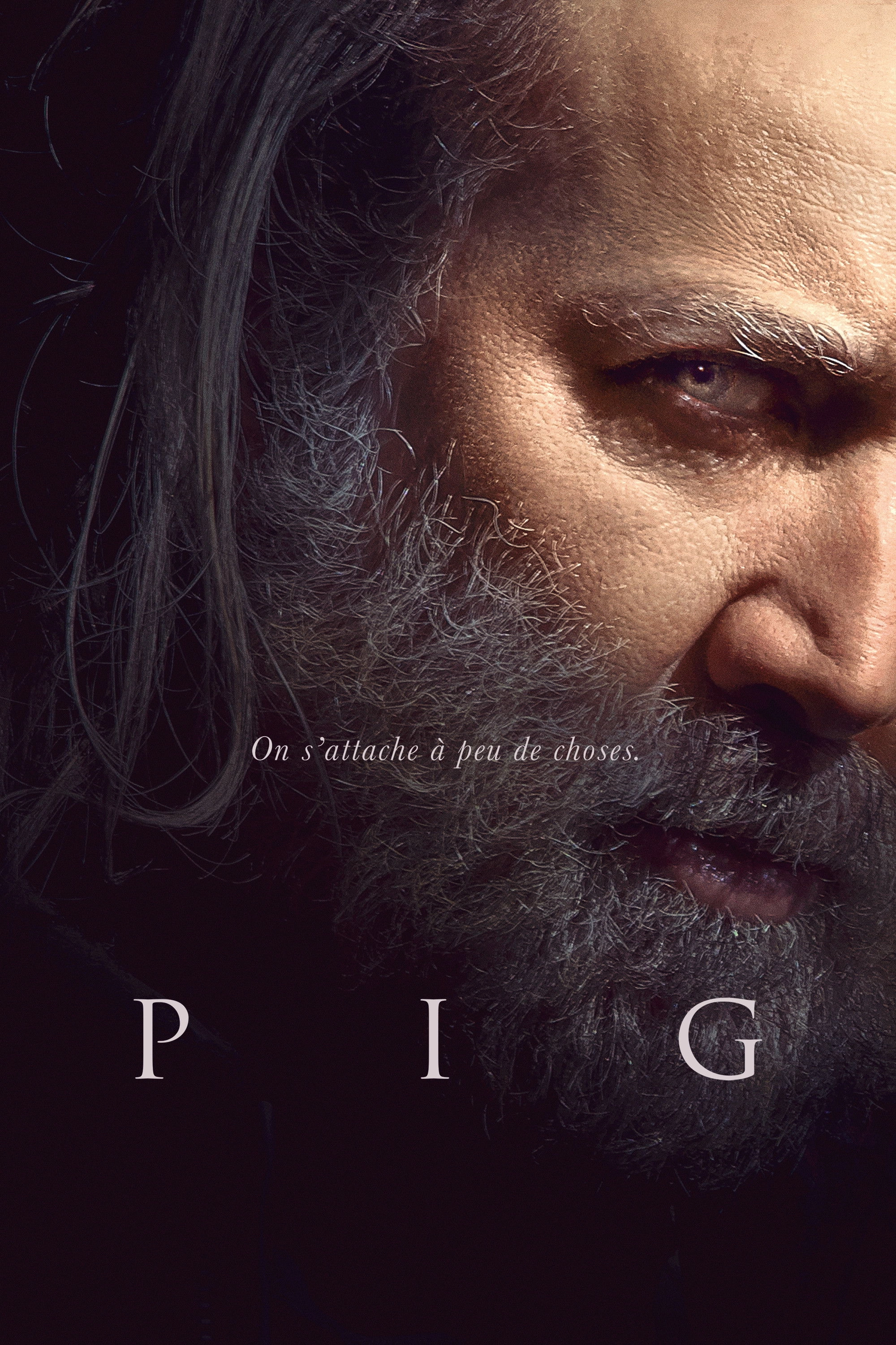 Pig