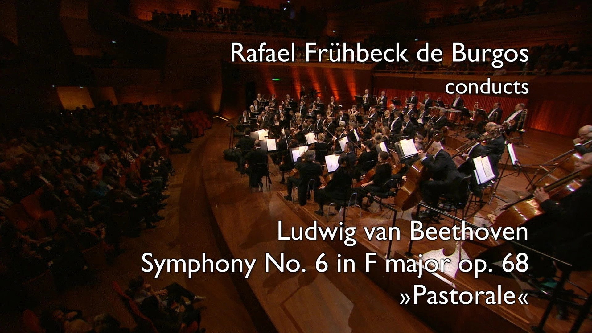 Beethoven: The Symphonies (Rafael Frühbeck de Burgos Conducts the Danish National Symphony Orchestra)