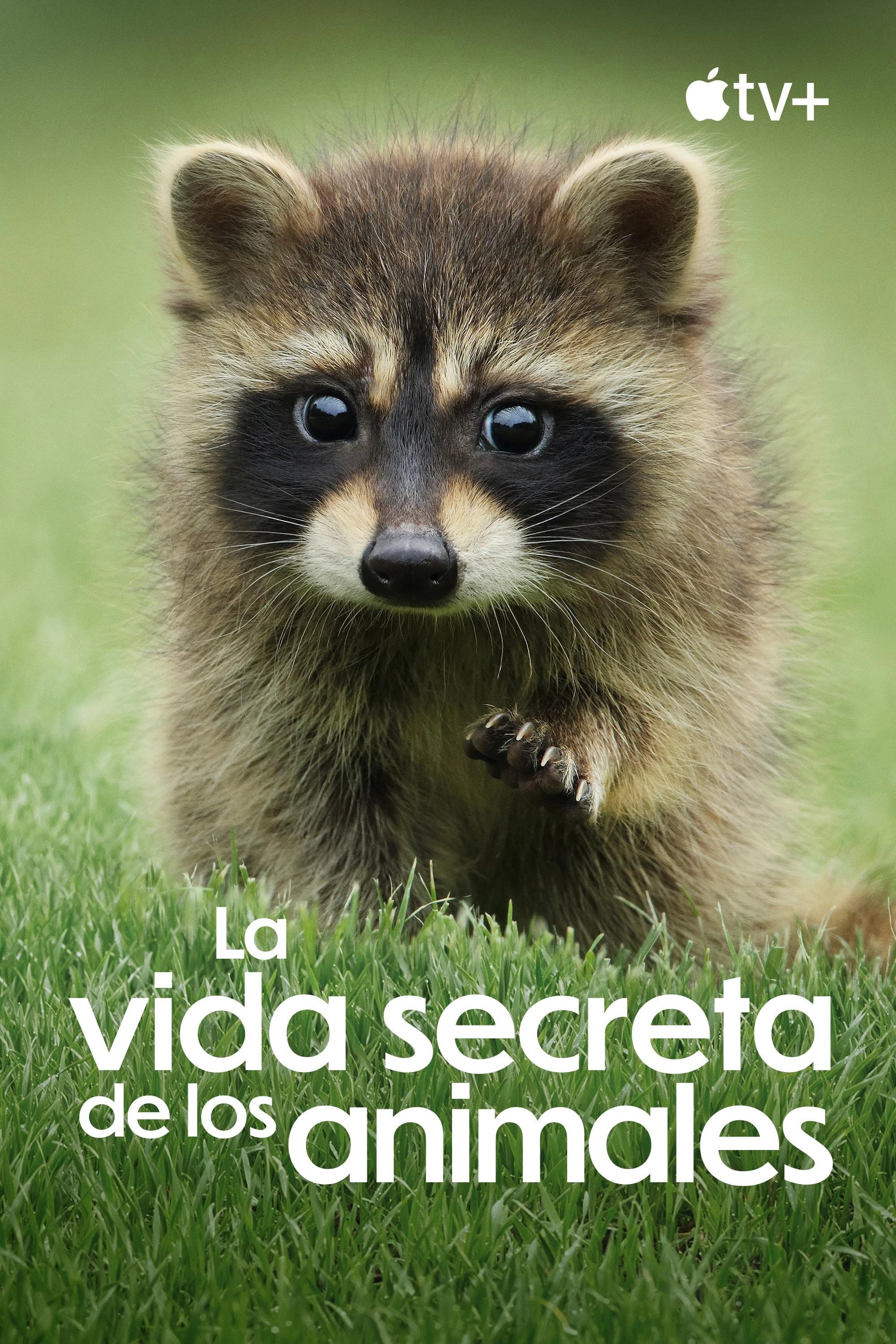 The Secret Lives of Animals