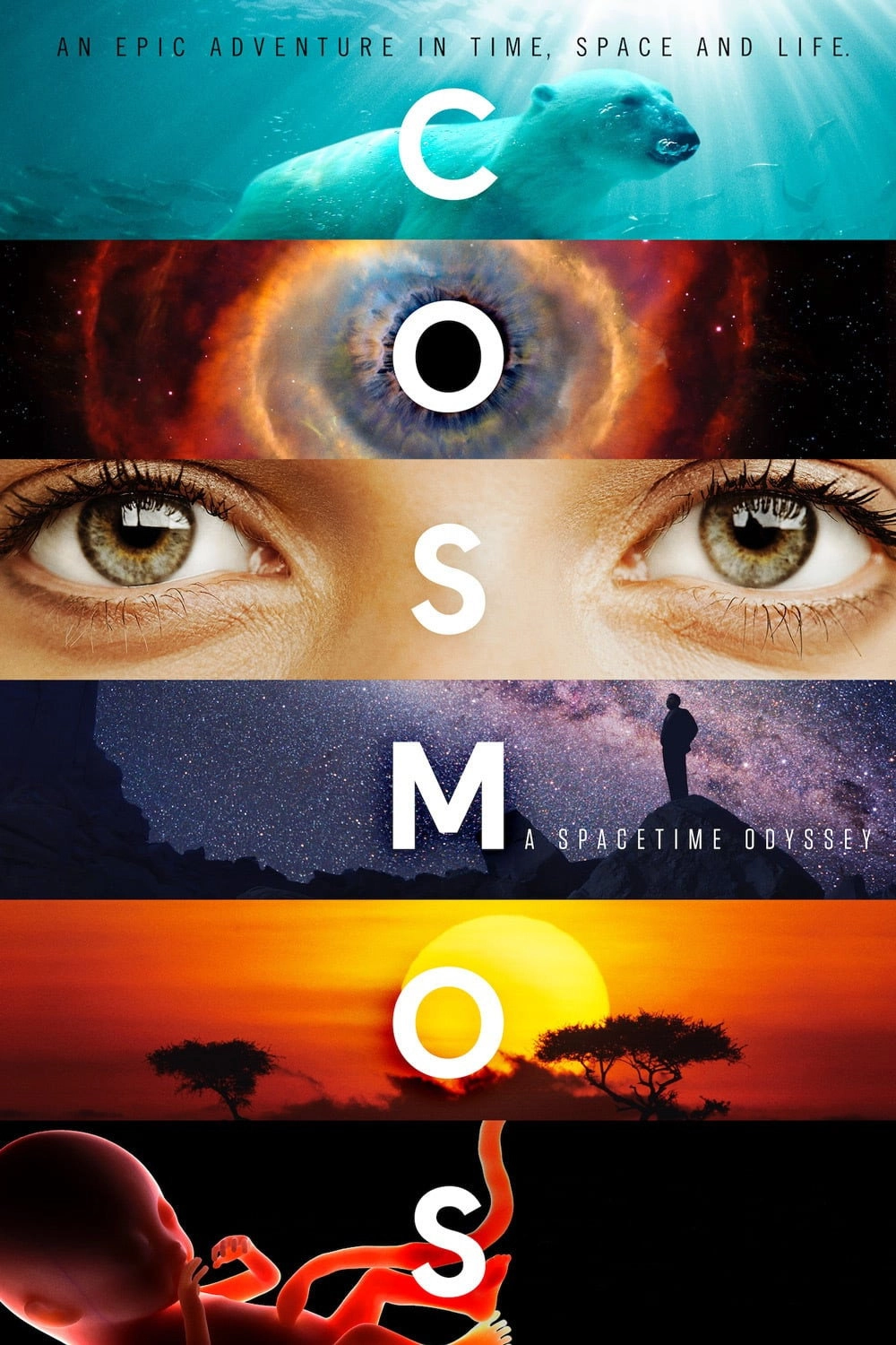 Cosmos