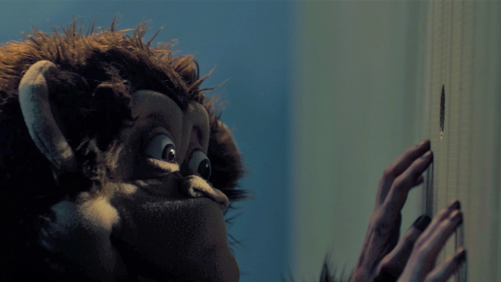 Monkey’s Magic Merry Go Round