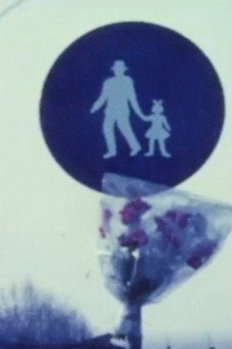 A Man Walks Down the Street