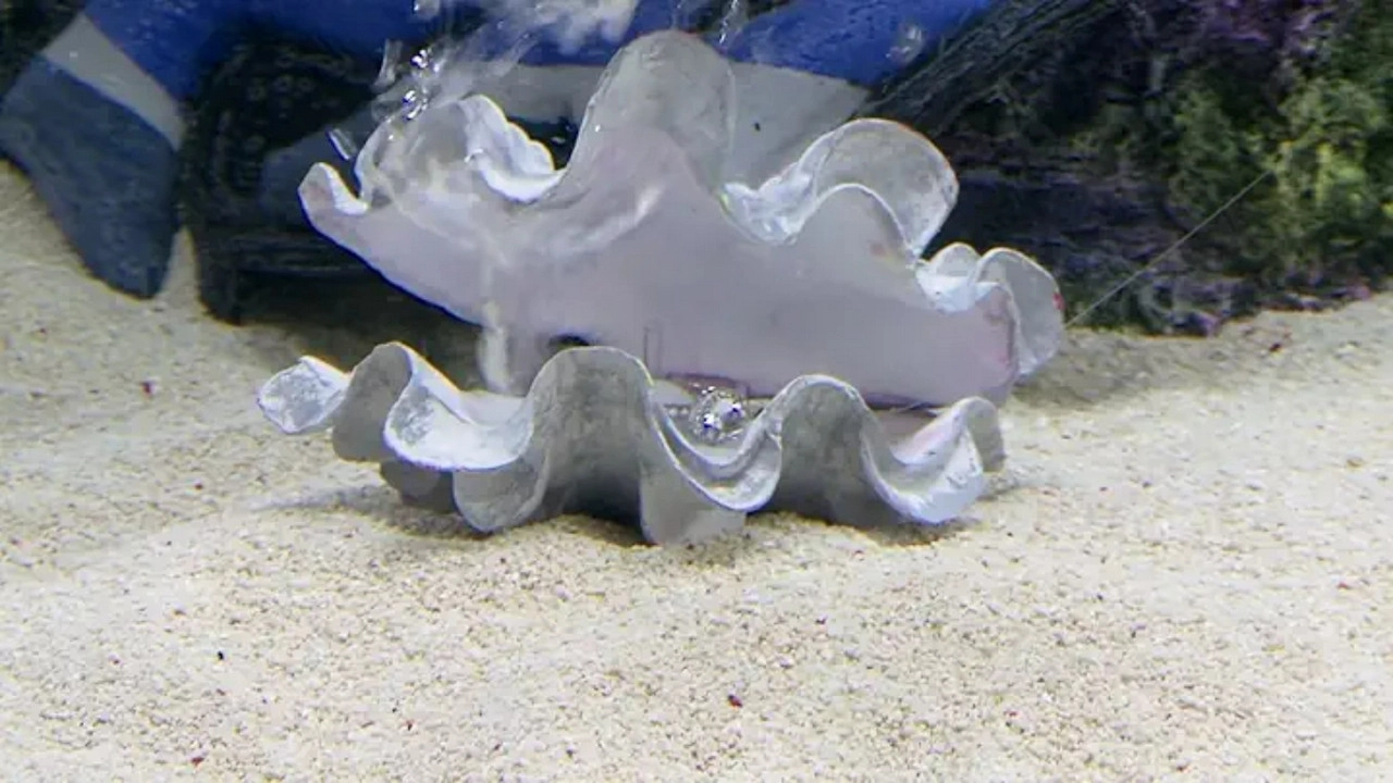 Tanked